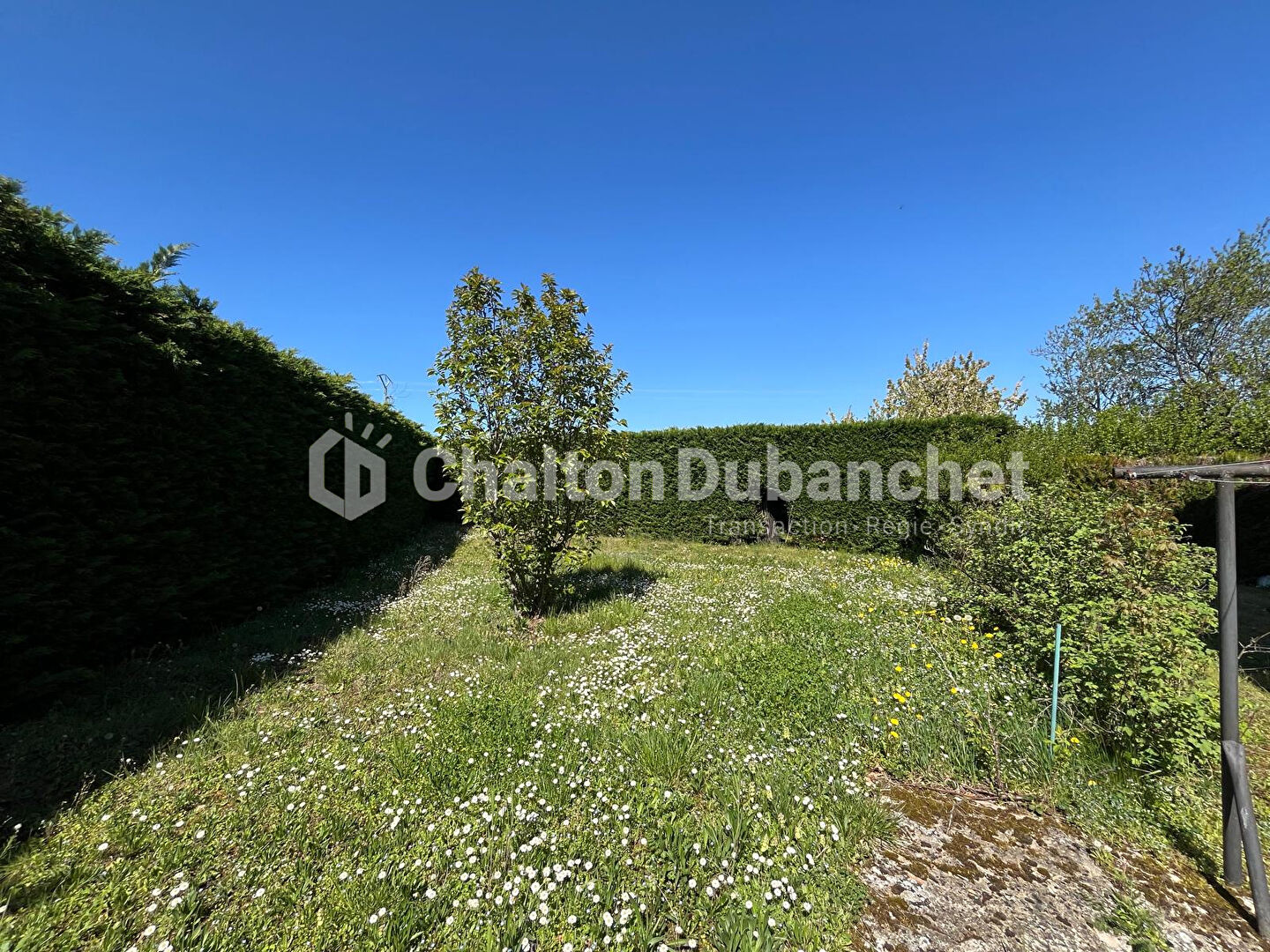 Photo 17 — CHALTON & DUBANCHET