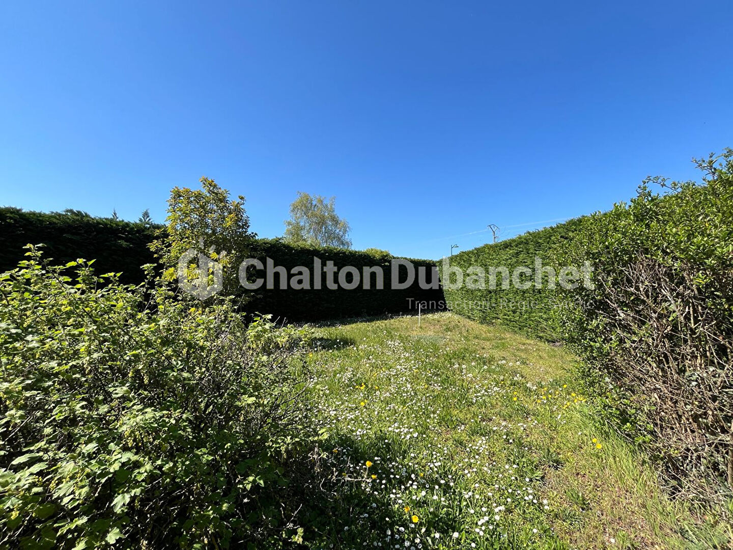 Photo 15 — CHALTON & DUBANCHET