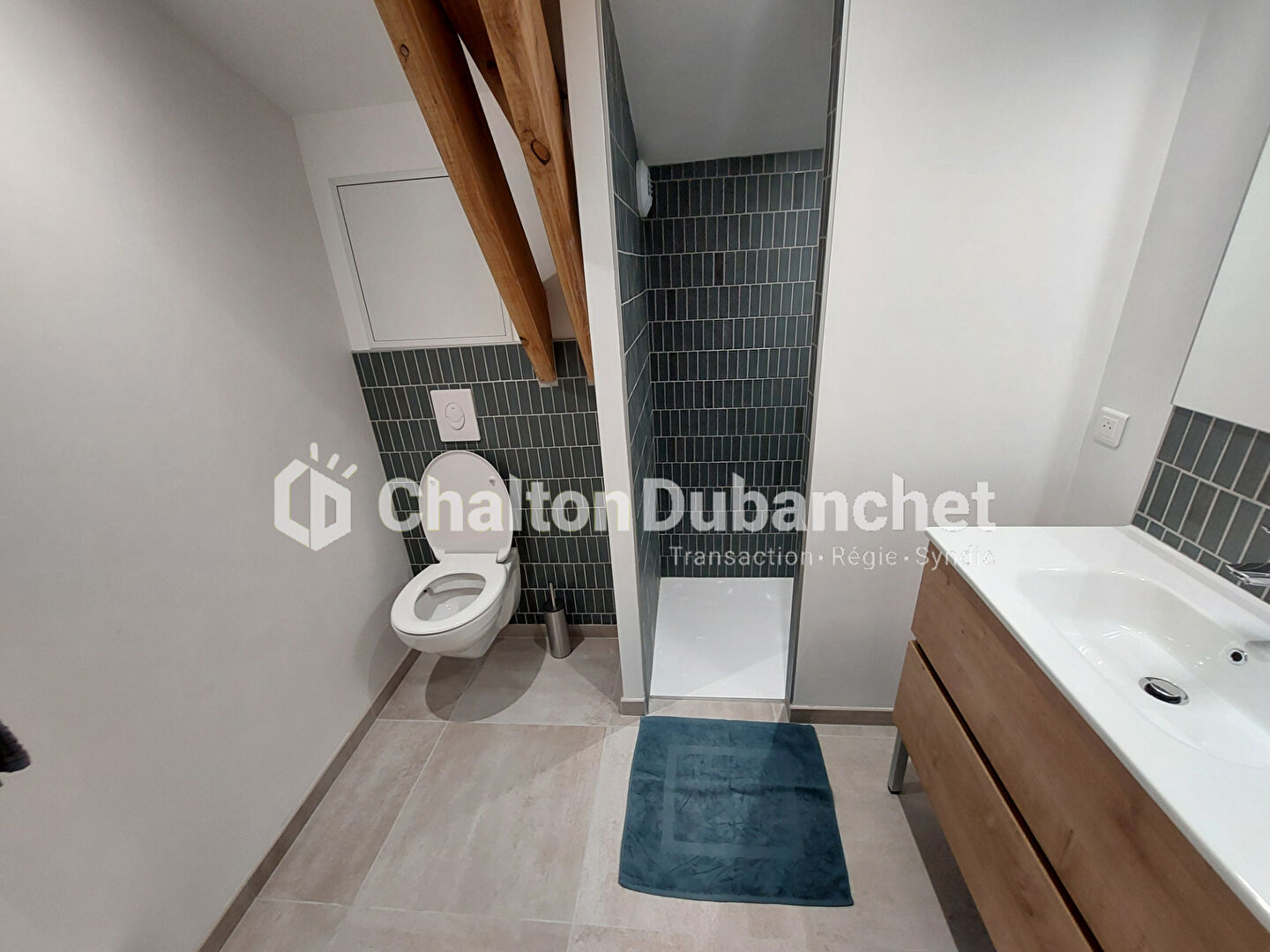 Photo 16 — CHALTON & DUBANCHET