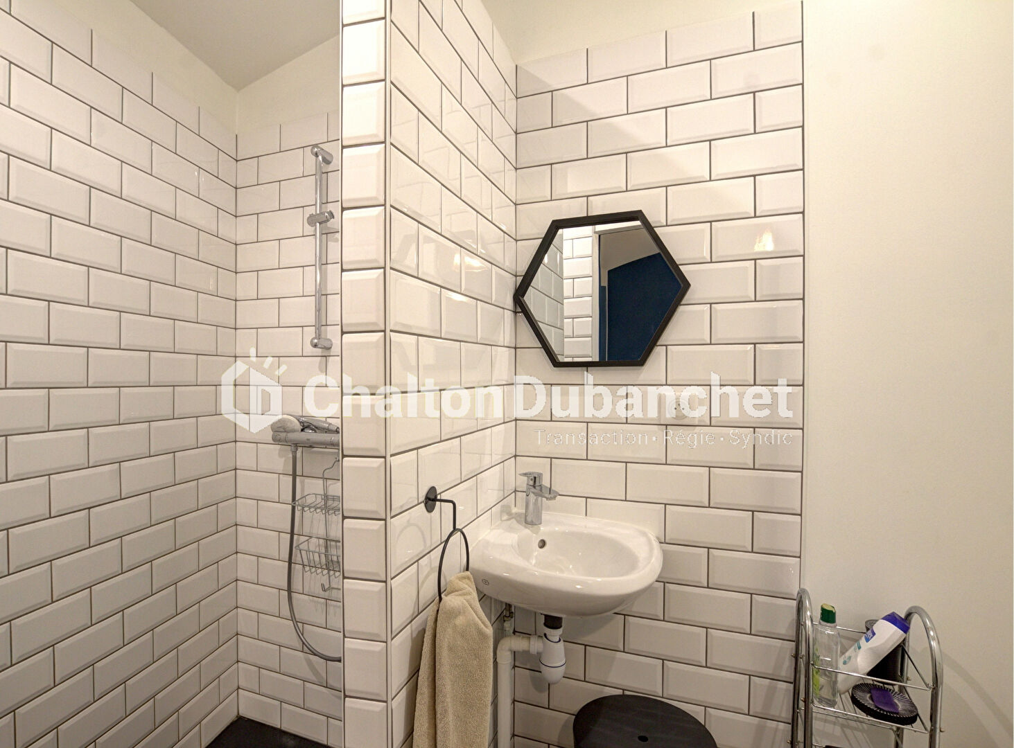 Photo 11 — CHALTON & DUBANCHET