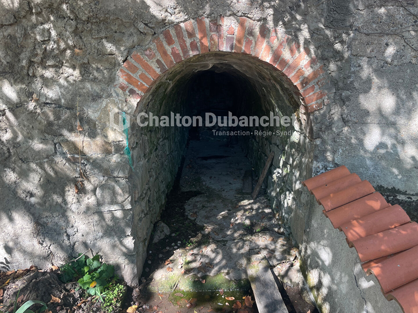 Photo 16 — CHALTON & DUBANCHET
