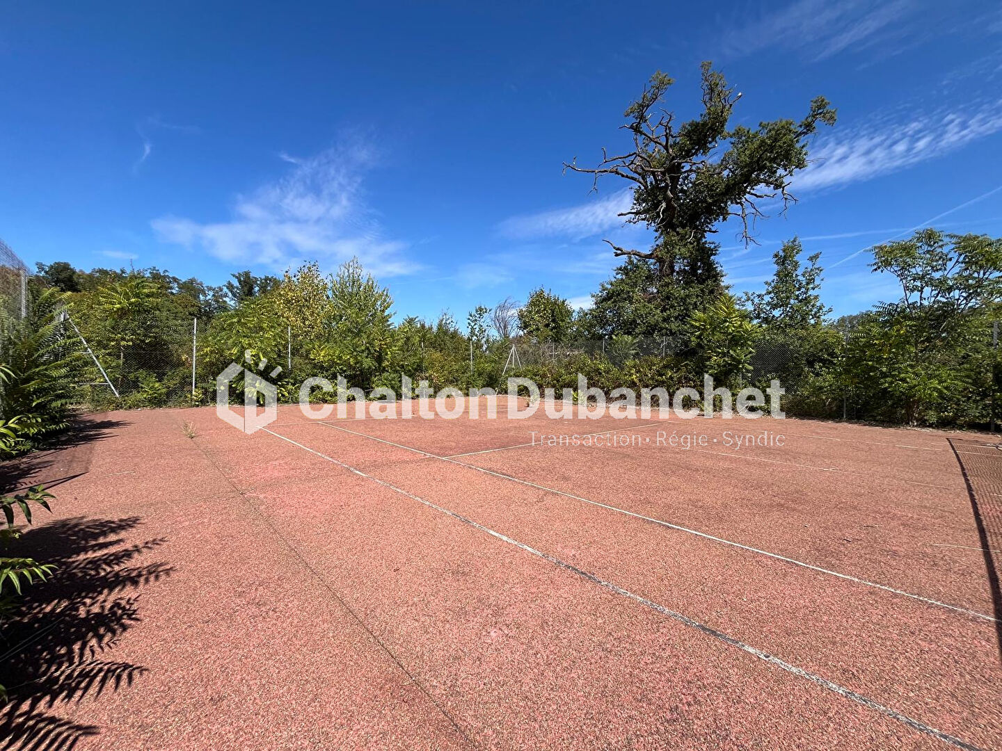 Photo 14 — CHALTON & DUBANCHET