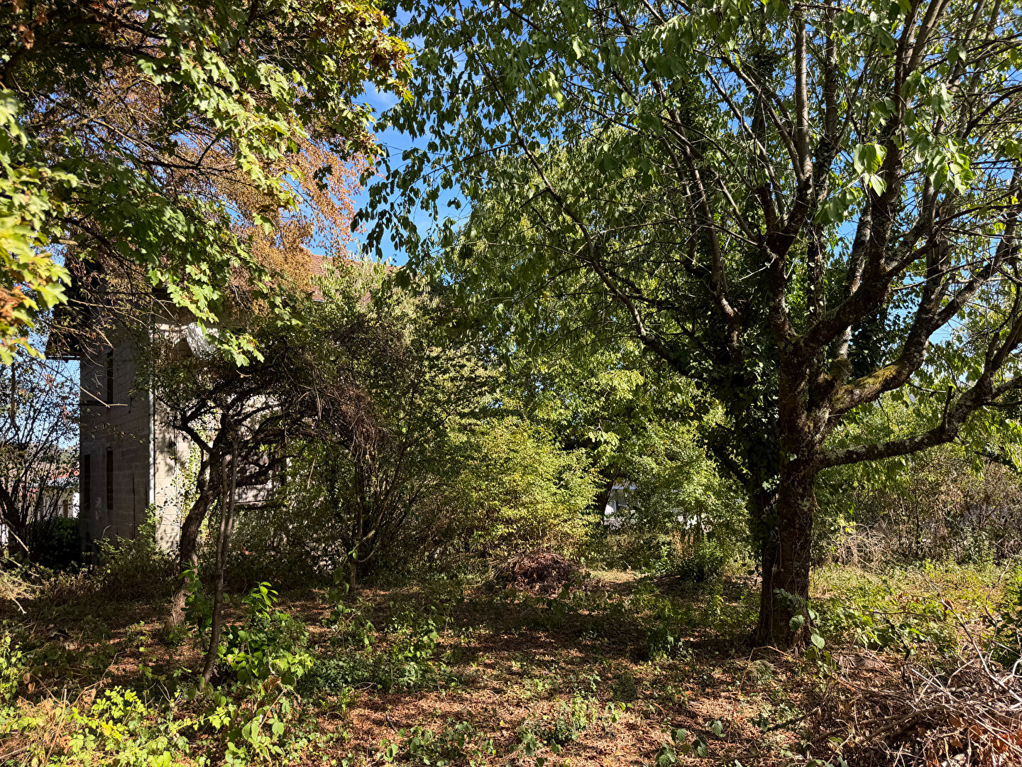 Photo 7 — MARC VERNIER IMMOBILIER