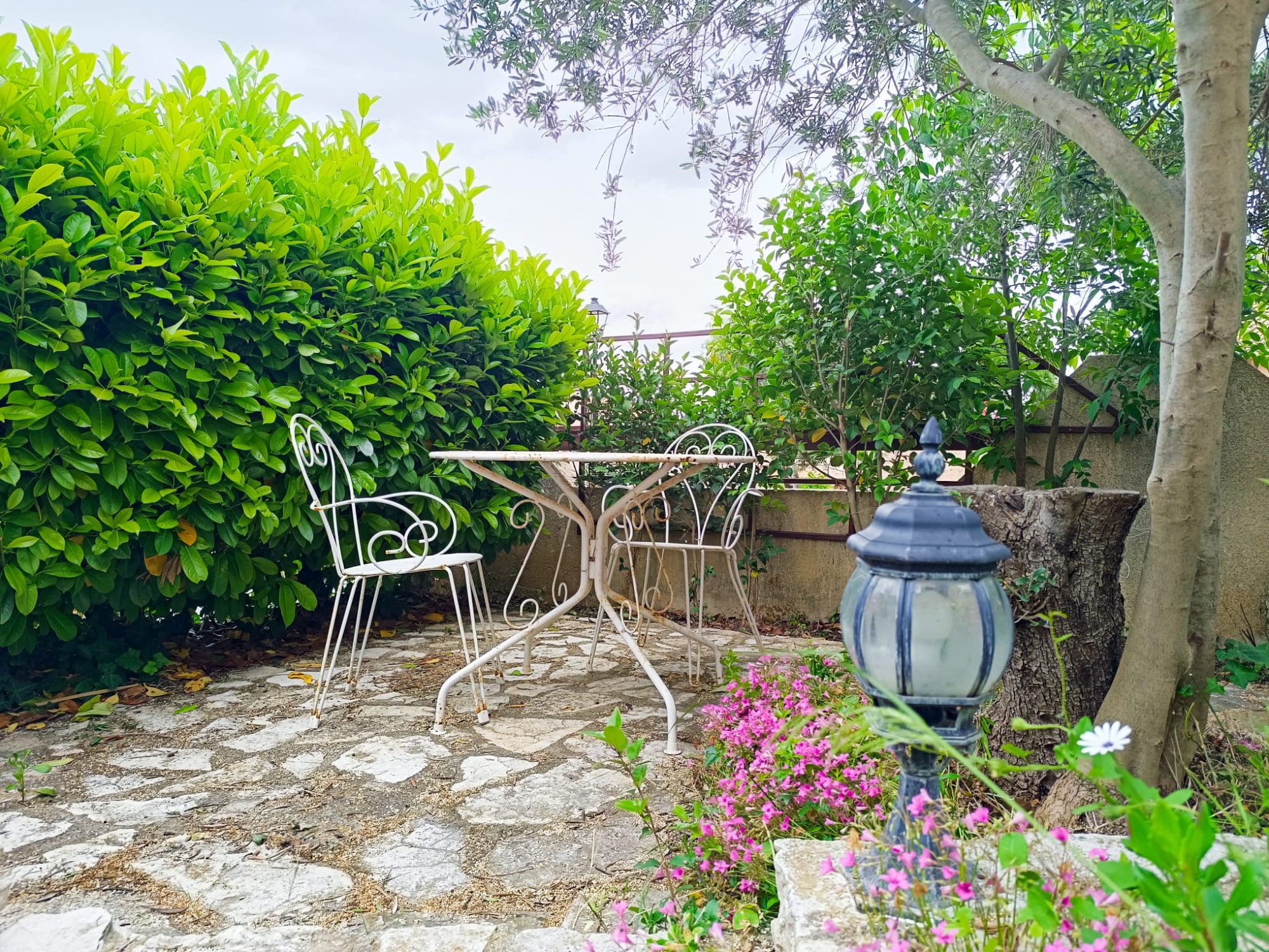 Photo 12 — Agence HDL