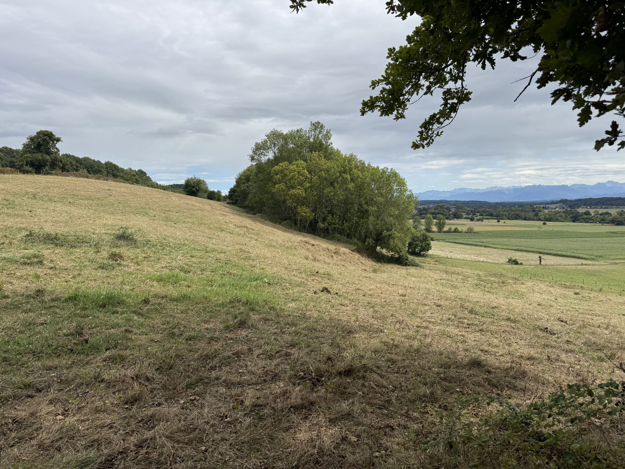 Photo 10 — ERLEA IMMOBILIER