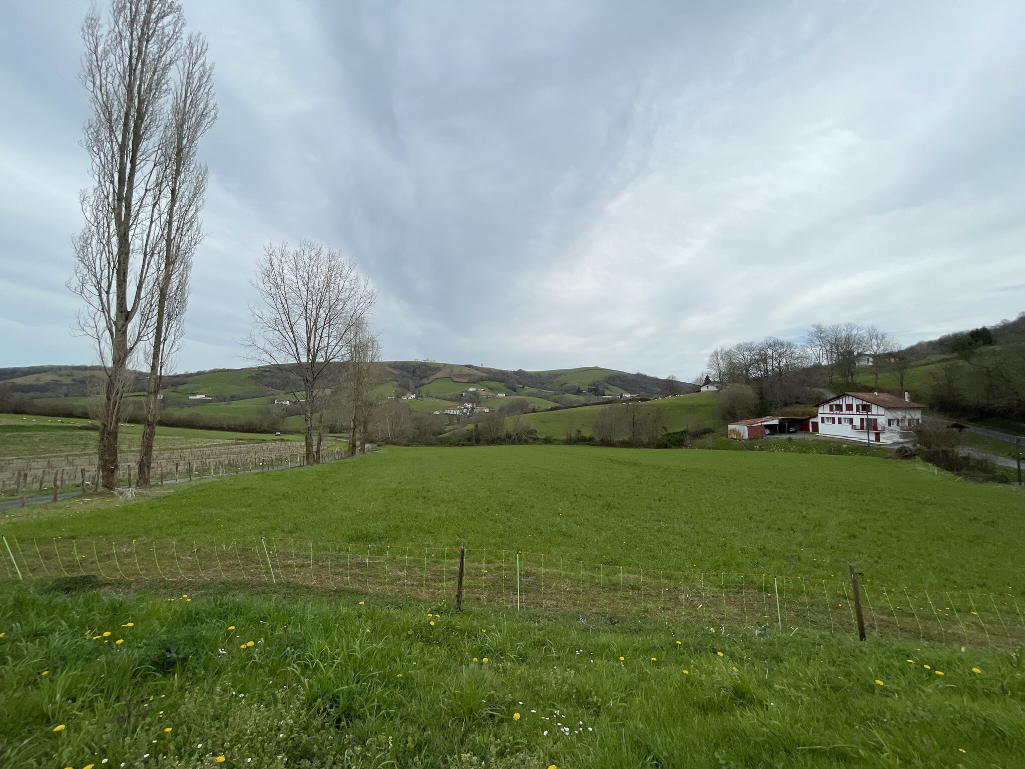 Photo 18 — ERLEA IMMOBILIER