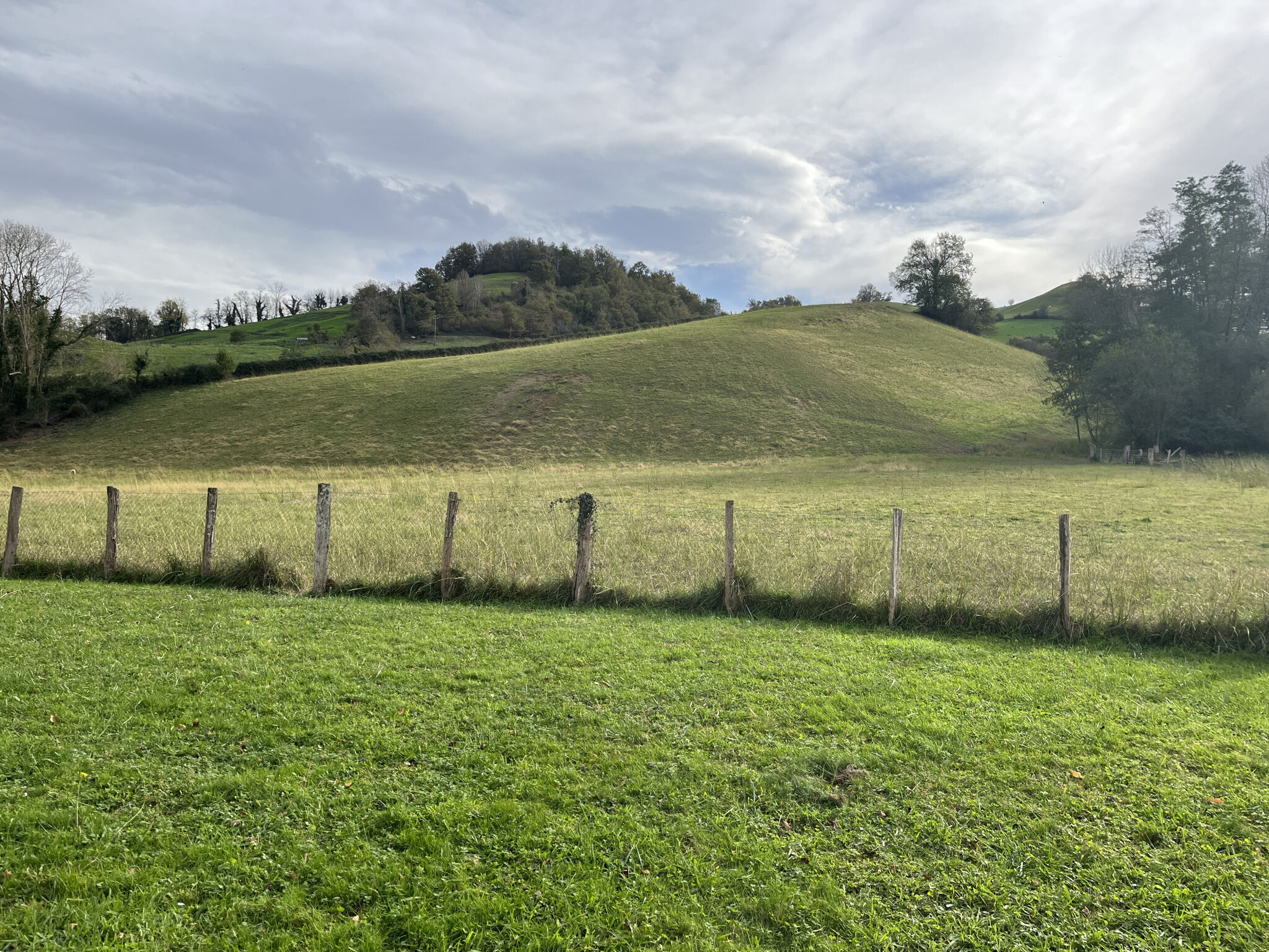 Photo 4 — ERLEA IMMOBILIER