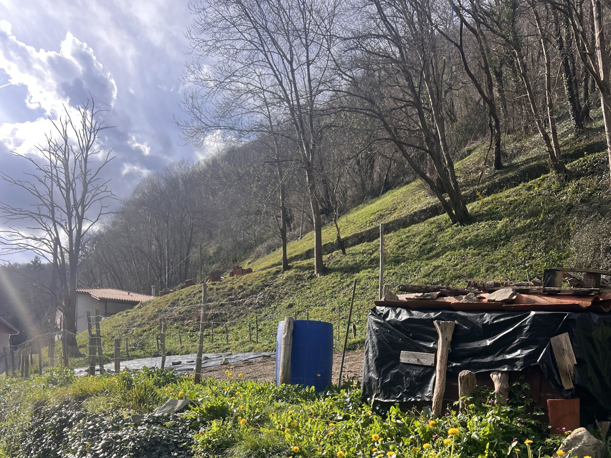 Photo 4 — ERLEA IMMOBILIER
