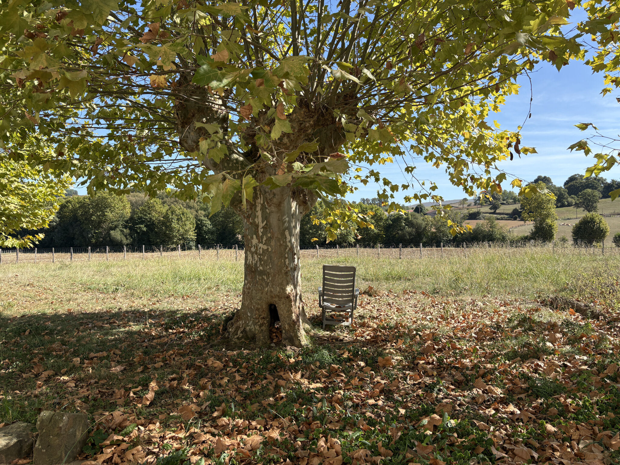 Photo 15 — ERLEA IMMOBILIER