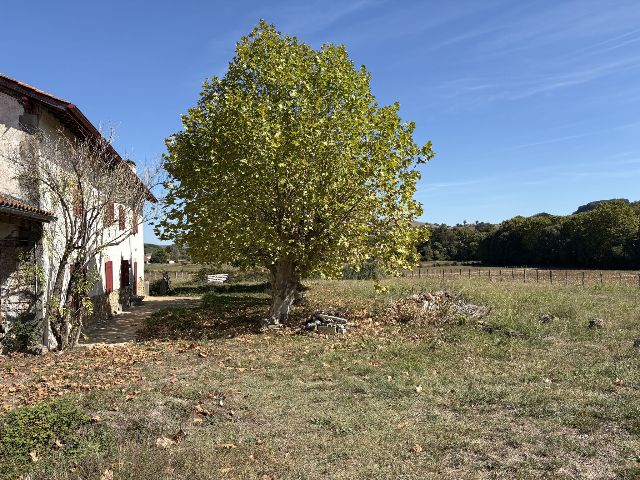 Photo 16 — ERLEA IMMOBILIER