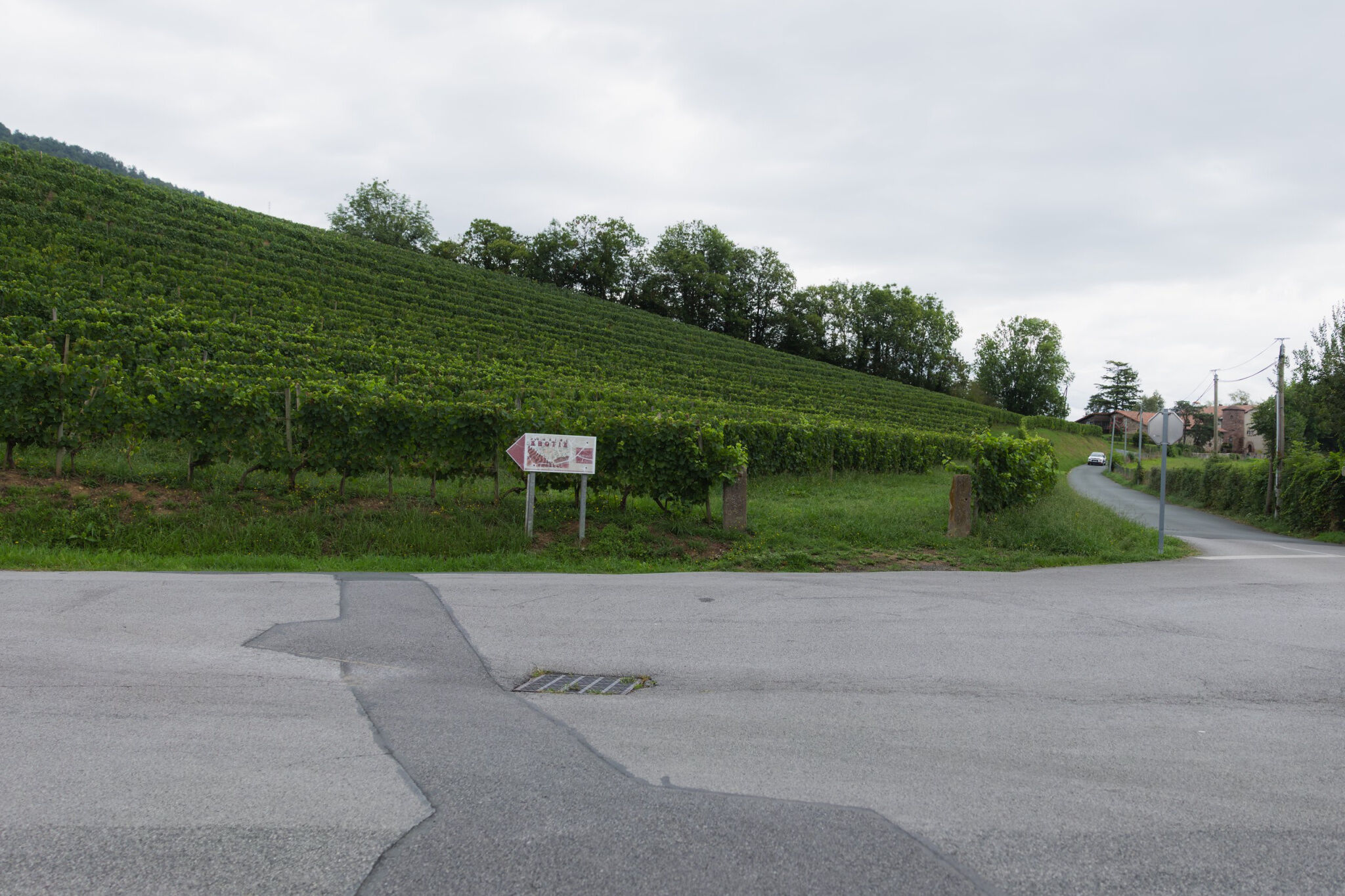 Photo 21 — ERLEA IMMOBILIER