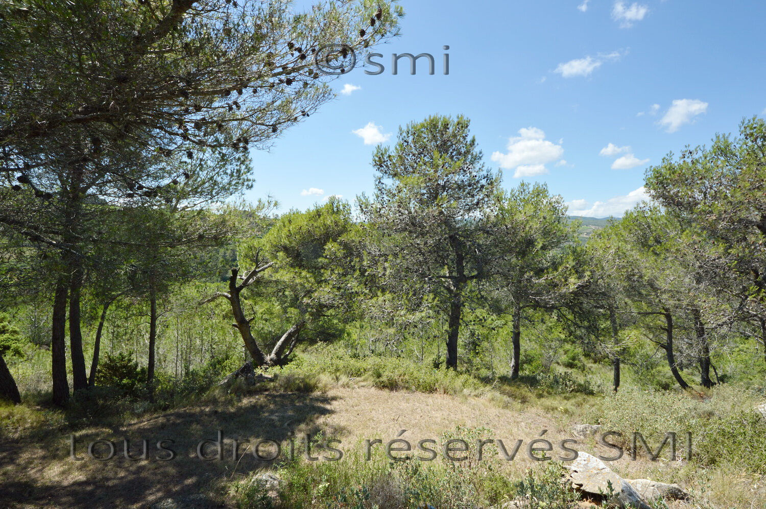 Photo 11 — SAINT MARCEL IMMOBILIER