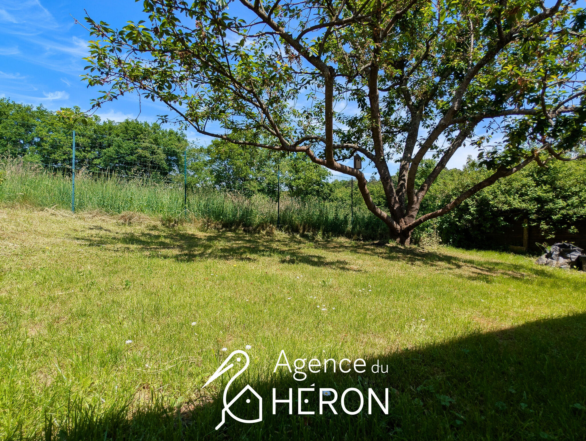 Photo 14 — L'AGENCE DU HERON