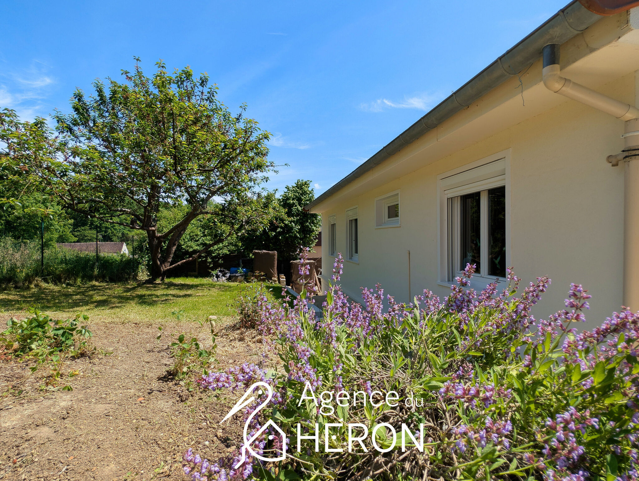 Photo 13 — L'AGENCE DU HERON