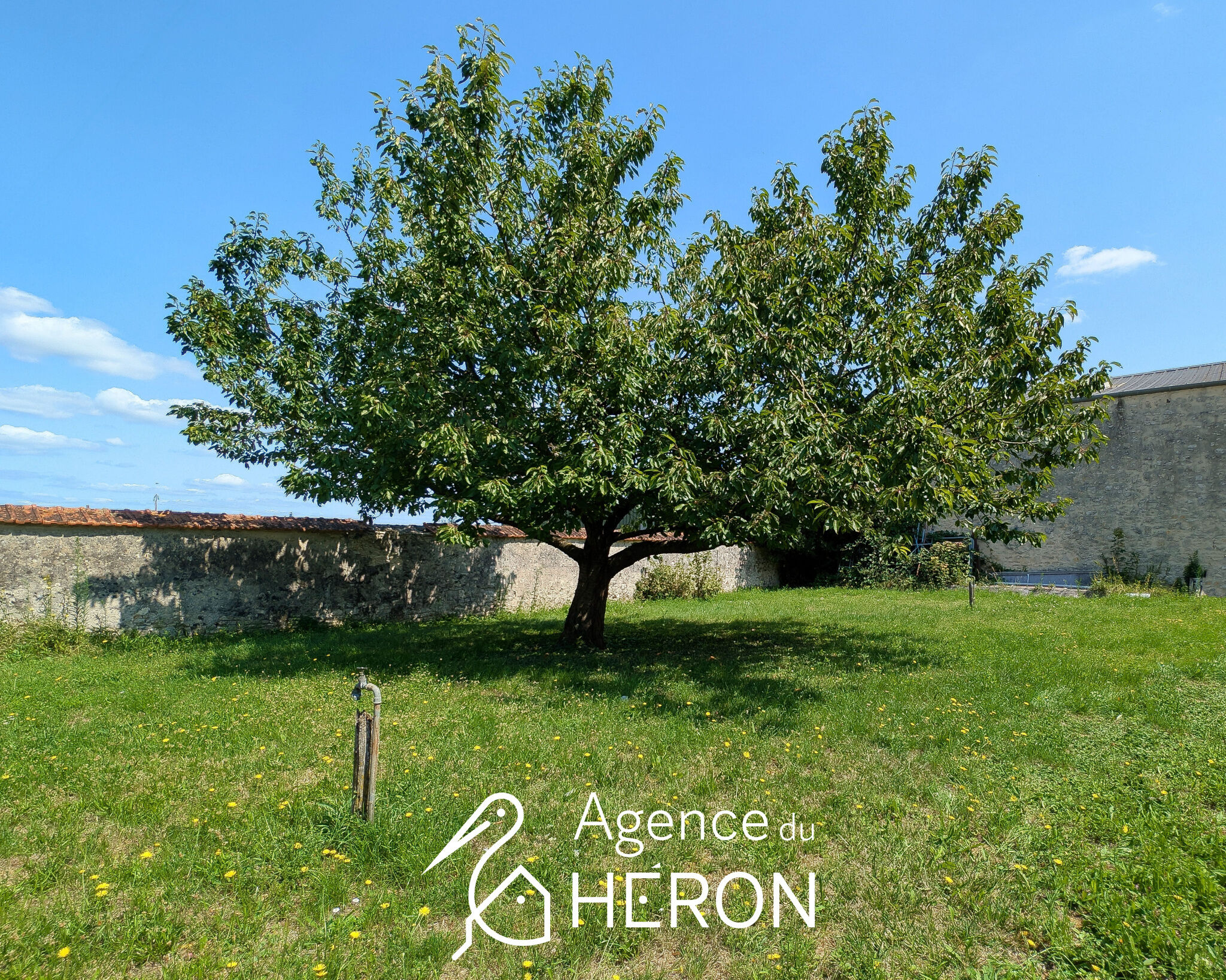 Photo 14 — L'AGENCE DU HERON