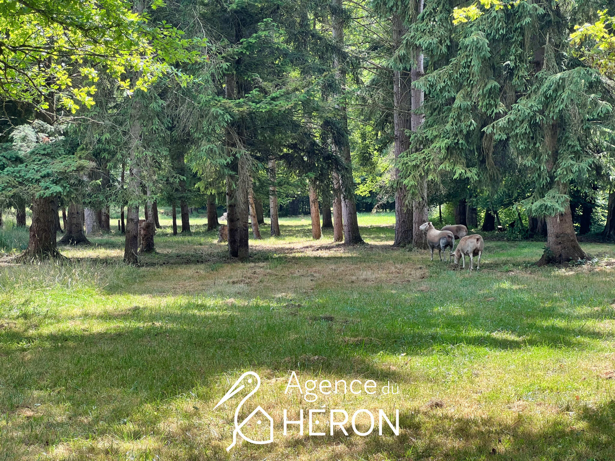 Photo 26 — L'AGENCE DU HERON