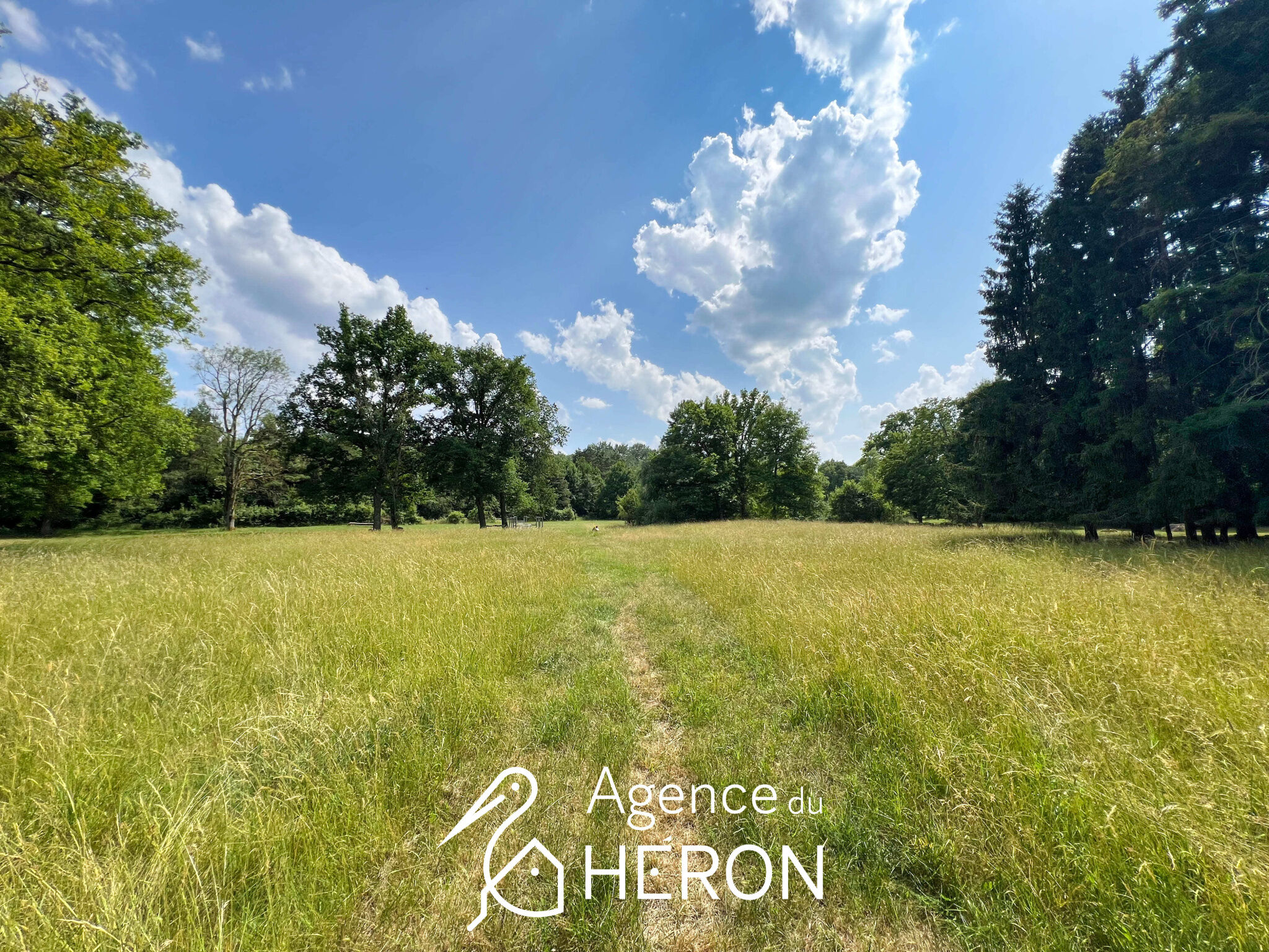 Photo 25 — L'AGENCE DU HERON