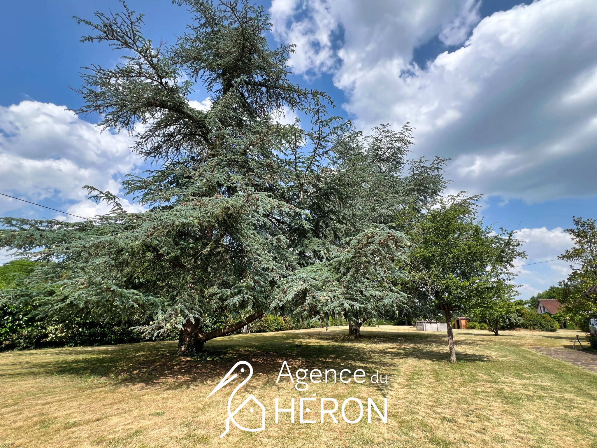 Photo 21 — L'AGENCE DU HERON