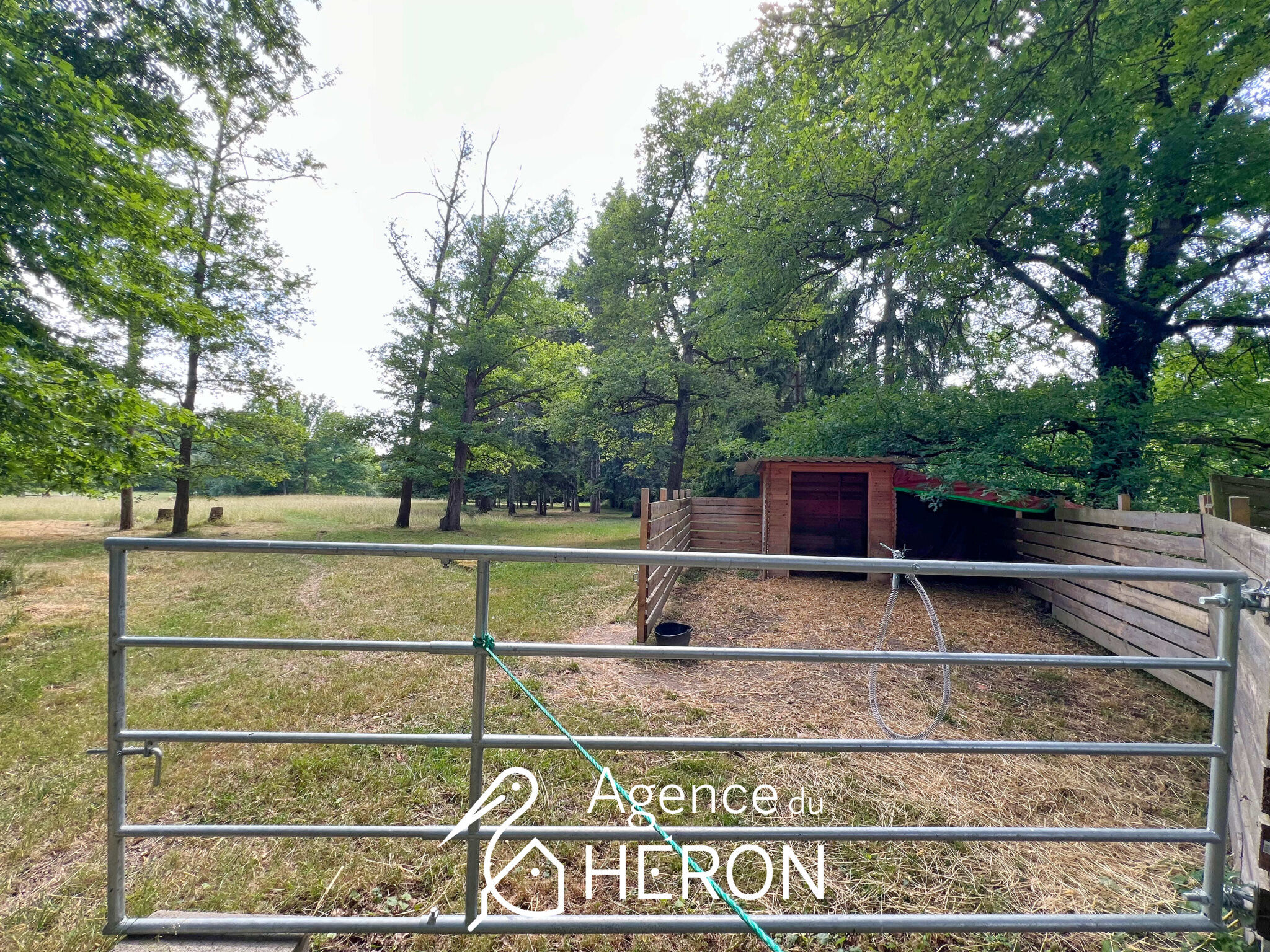 Photo 29 — L'AGENCE DU HERON