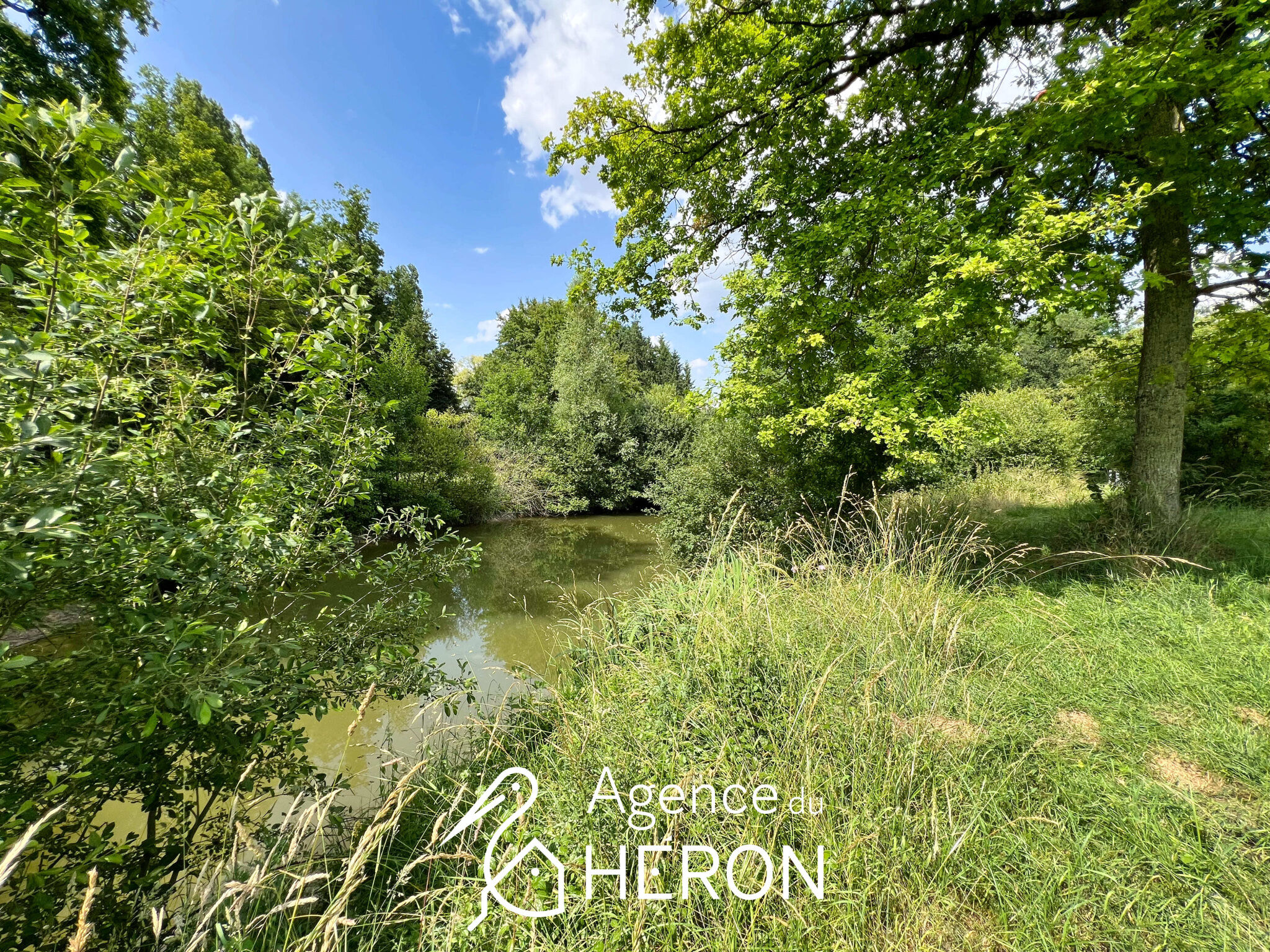 Photo 27 — L'AGENCE DU HERON