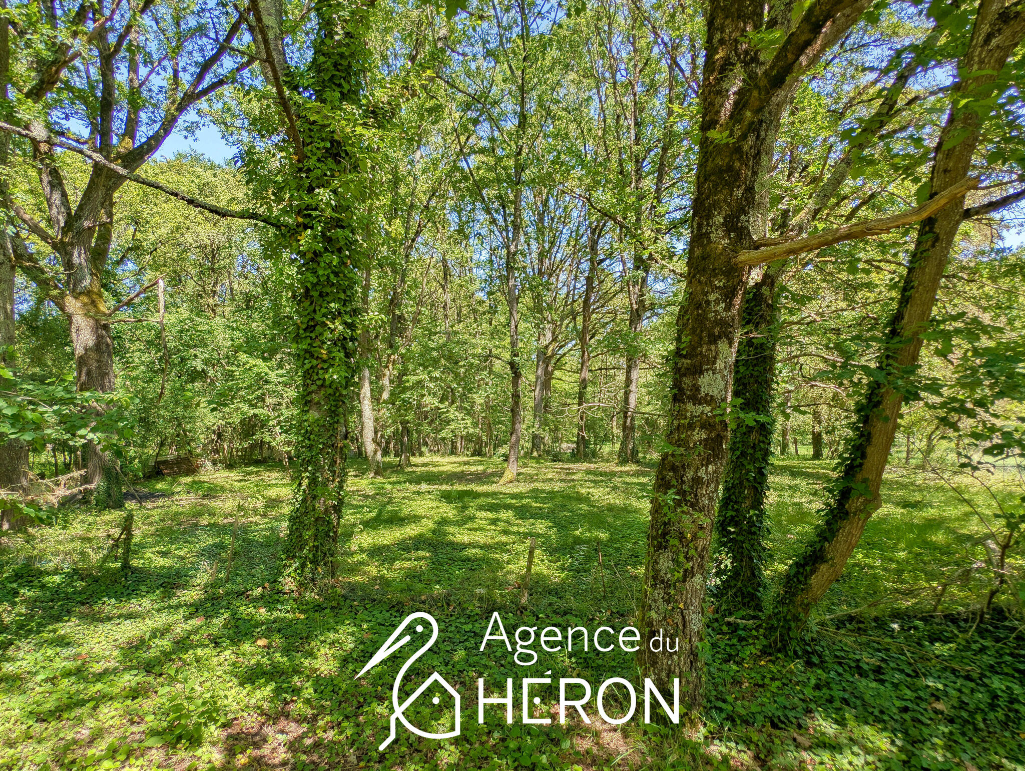 Photo 20 — L'AGENCE DU HERON