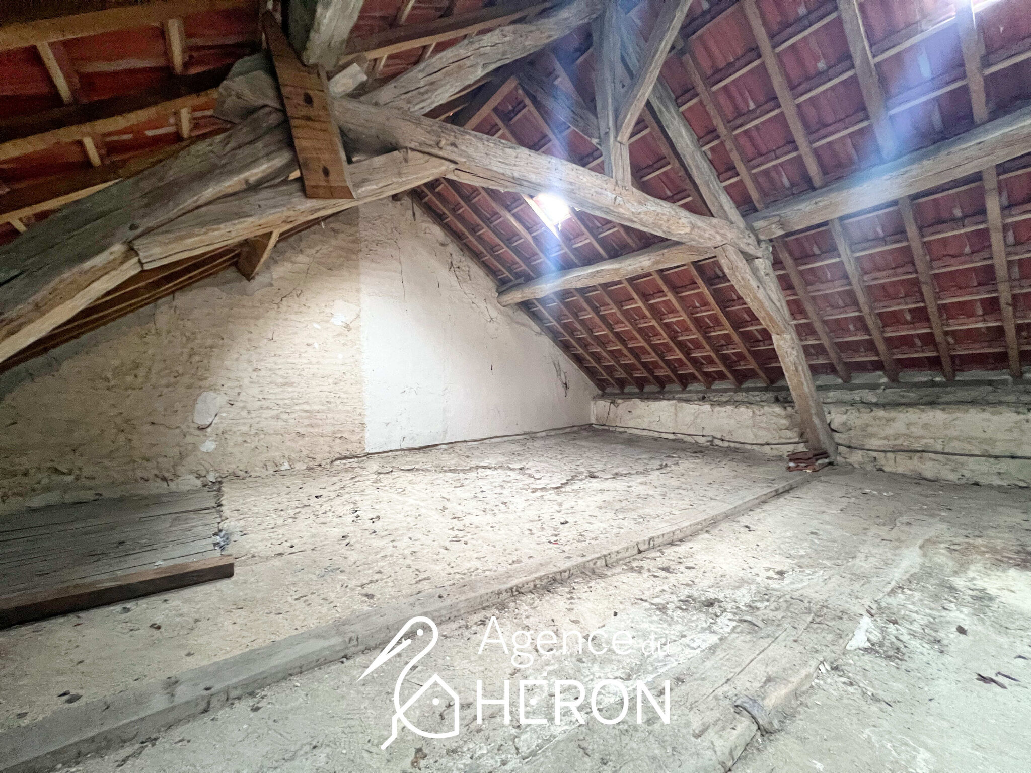Photo 22 — L'AGENCE DU HERON
