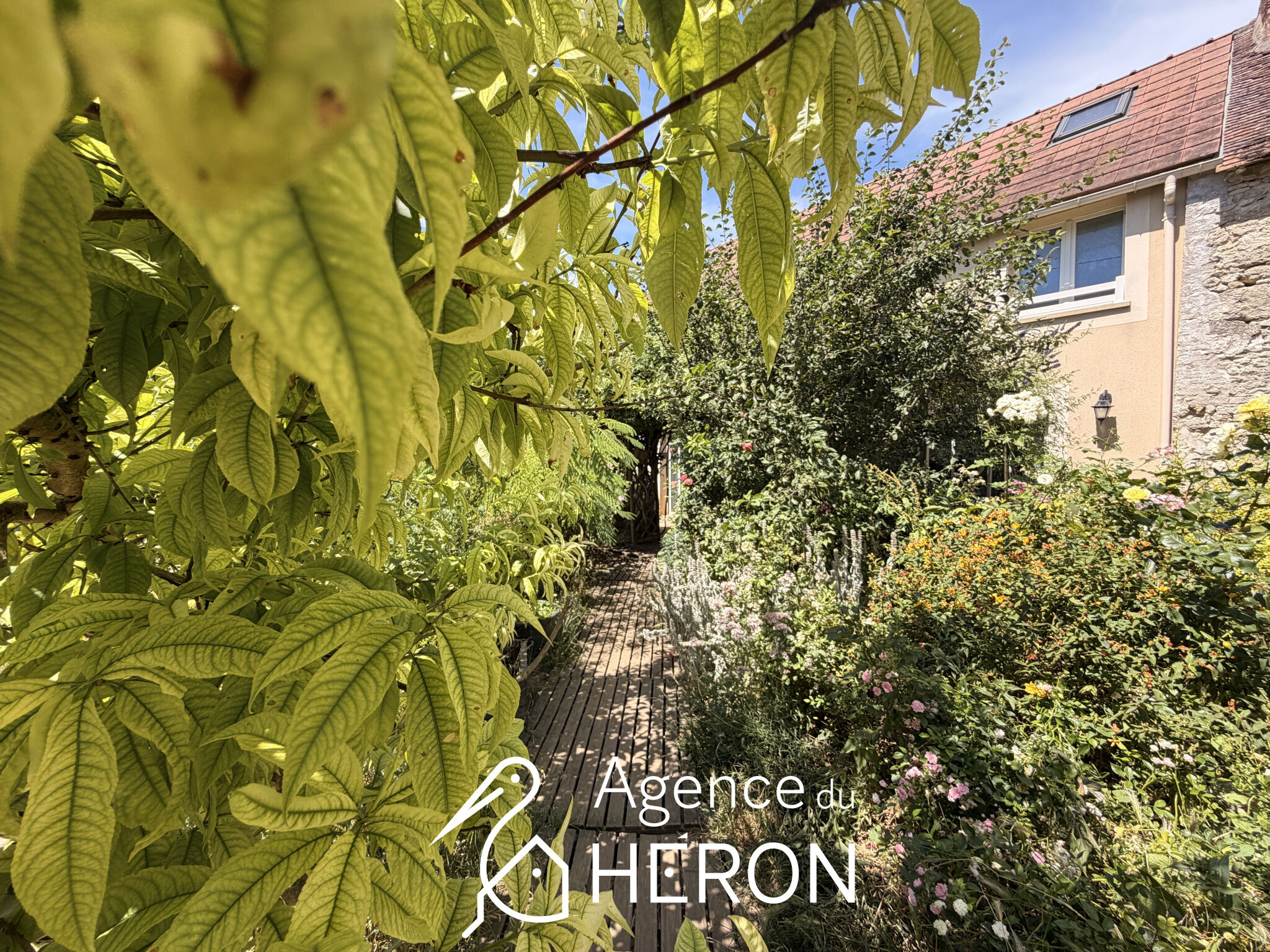 Photo 12 — L'AGENCE DU HERON