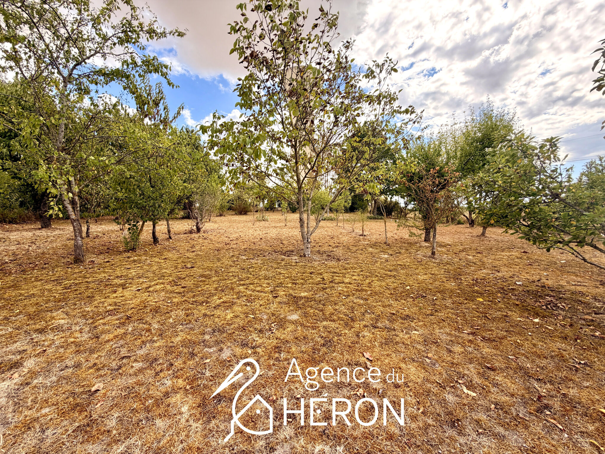 Photo 16 — L'AGENCE DU HERON