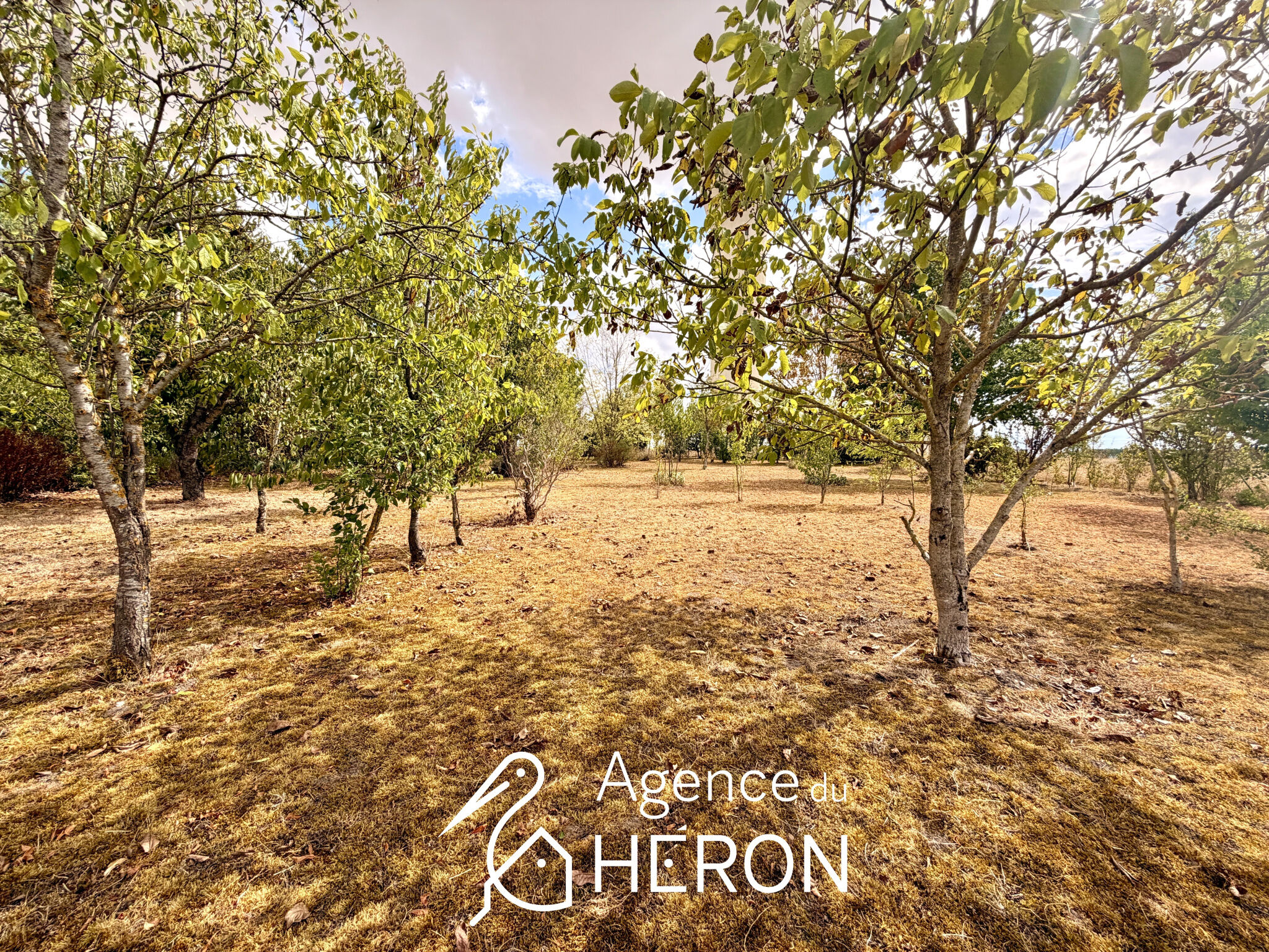 Photo 17 — L'AGENCE DU HERON