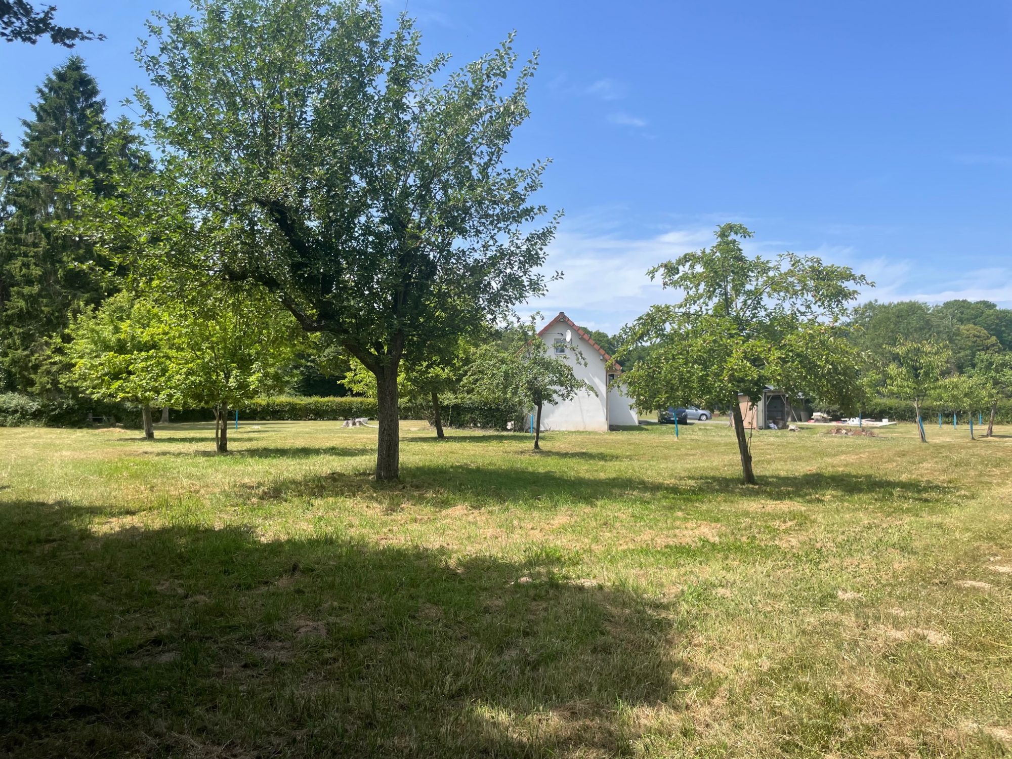Photo 24 — CF IMMOBILIER