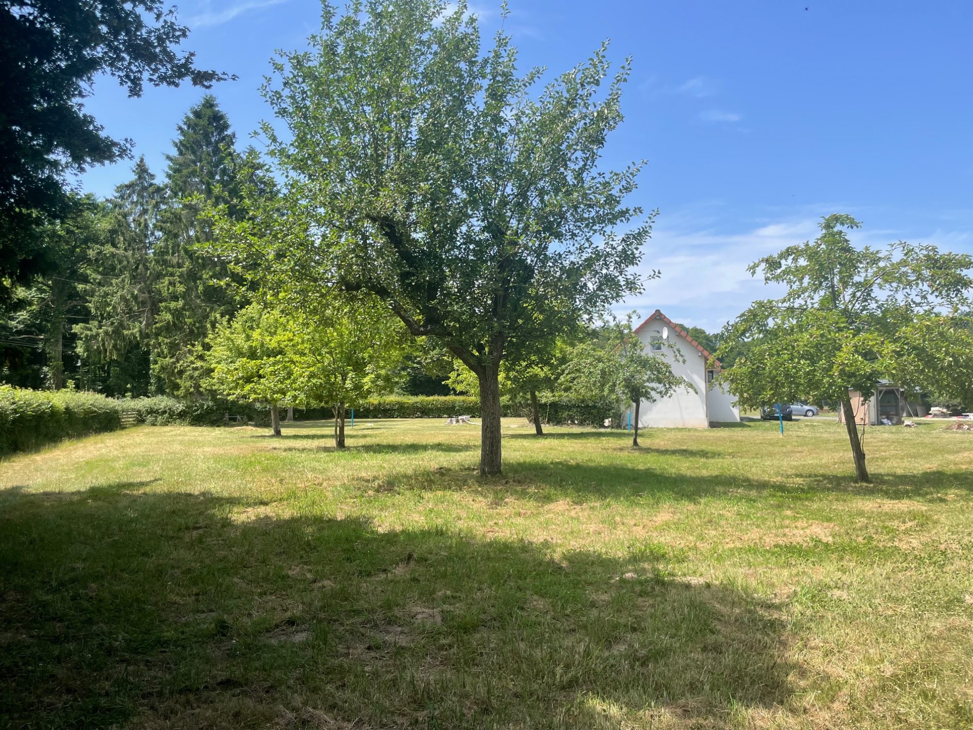 Photo 25 — CF IMMOBILIER