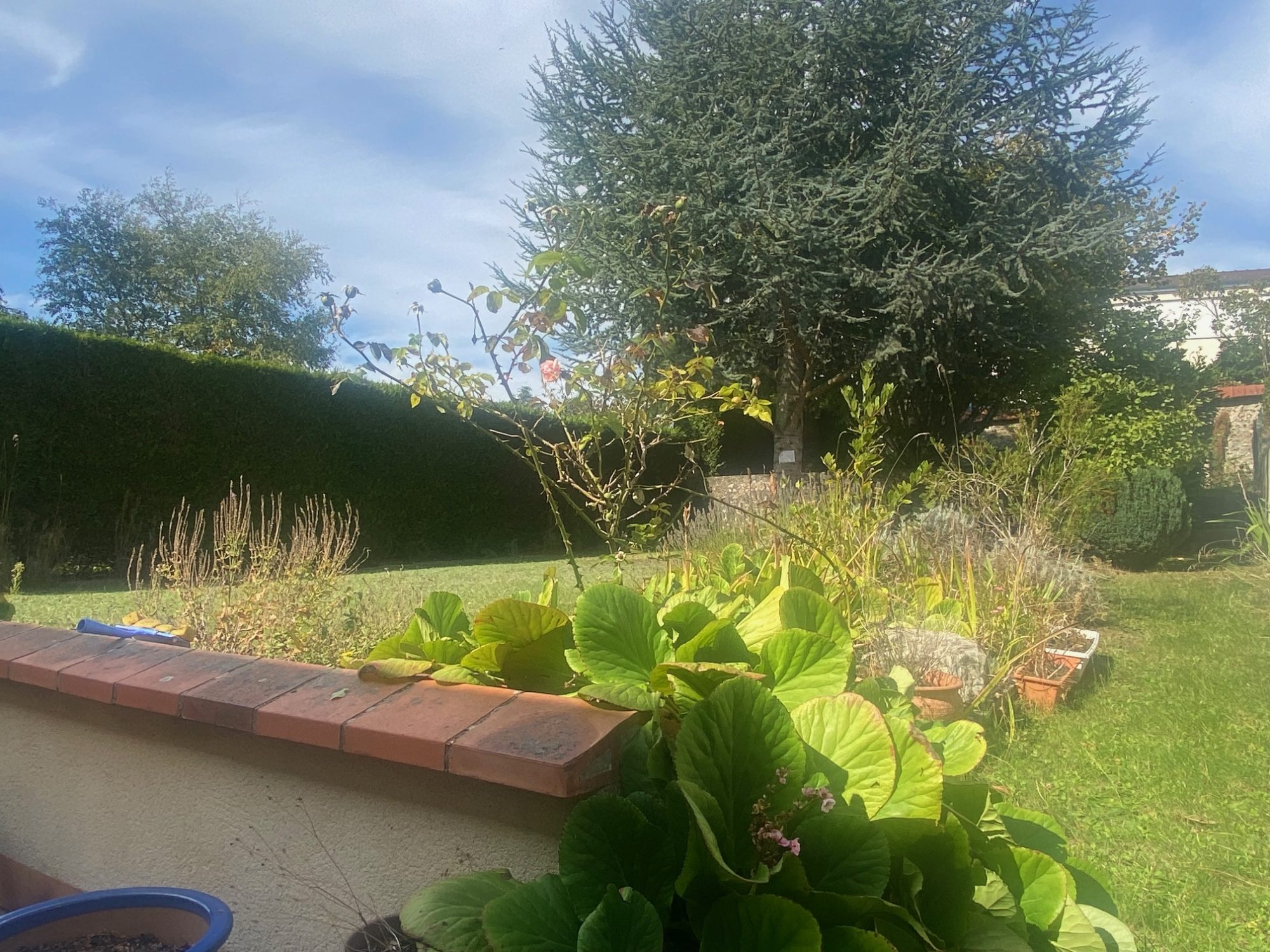 Photo 22 — CF IMMOBILIER
