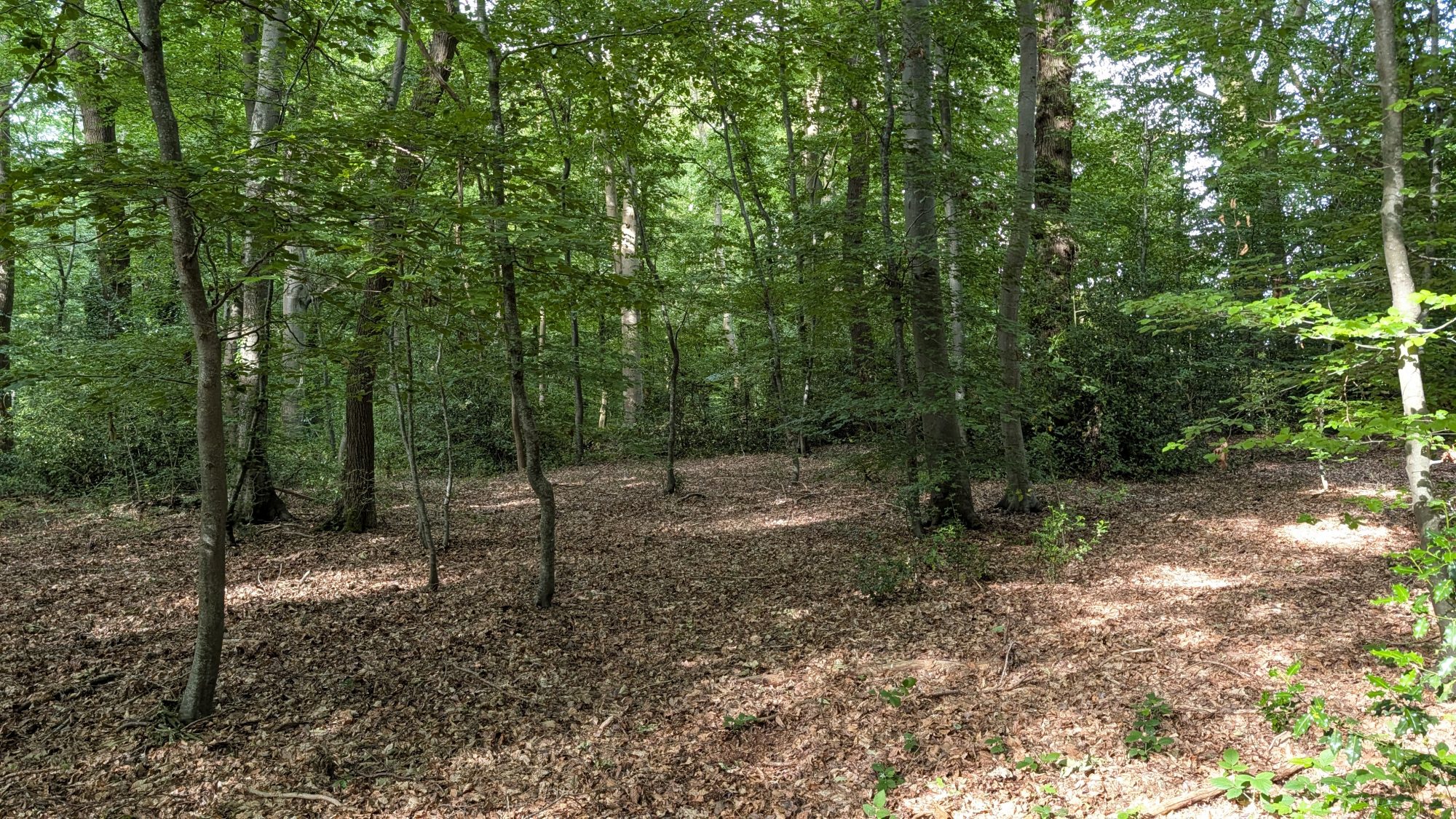 Photo 2 — CF IMMOBILIER