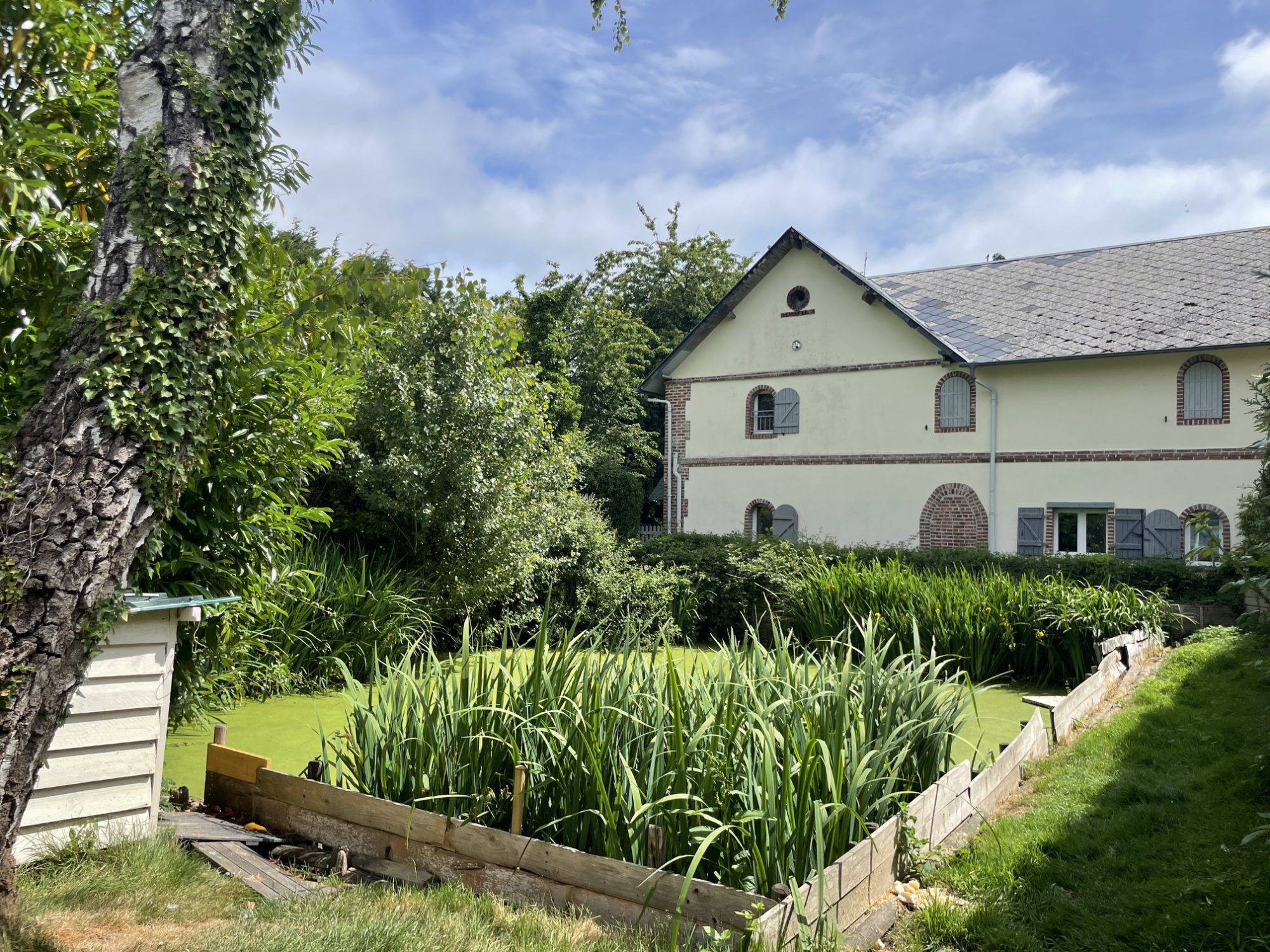 Photo 3 — CF IMMOBILIER