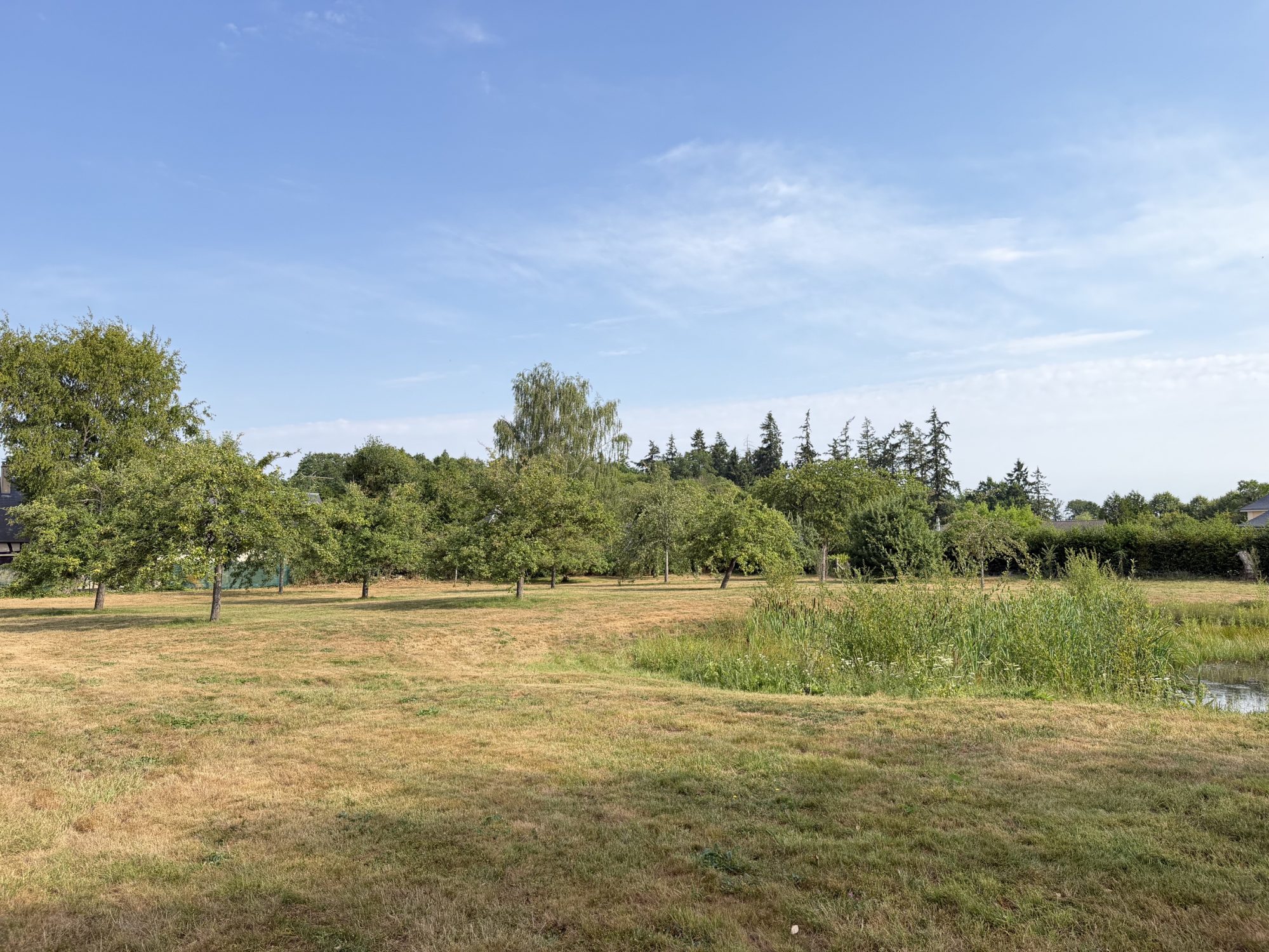 Photo 21 — CF IMMOBILIER