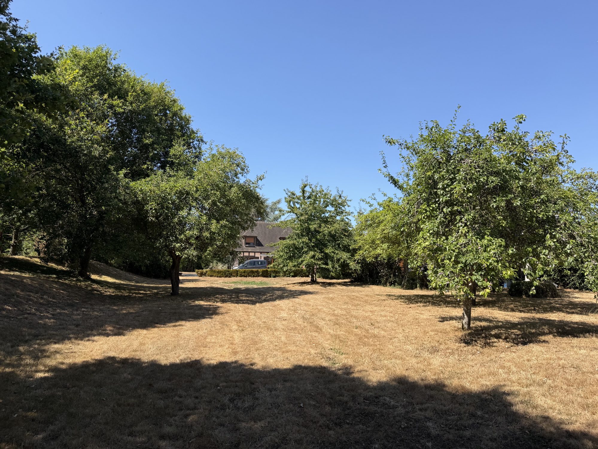 Photo 3 — CF IMMOBILIER