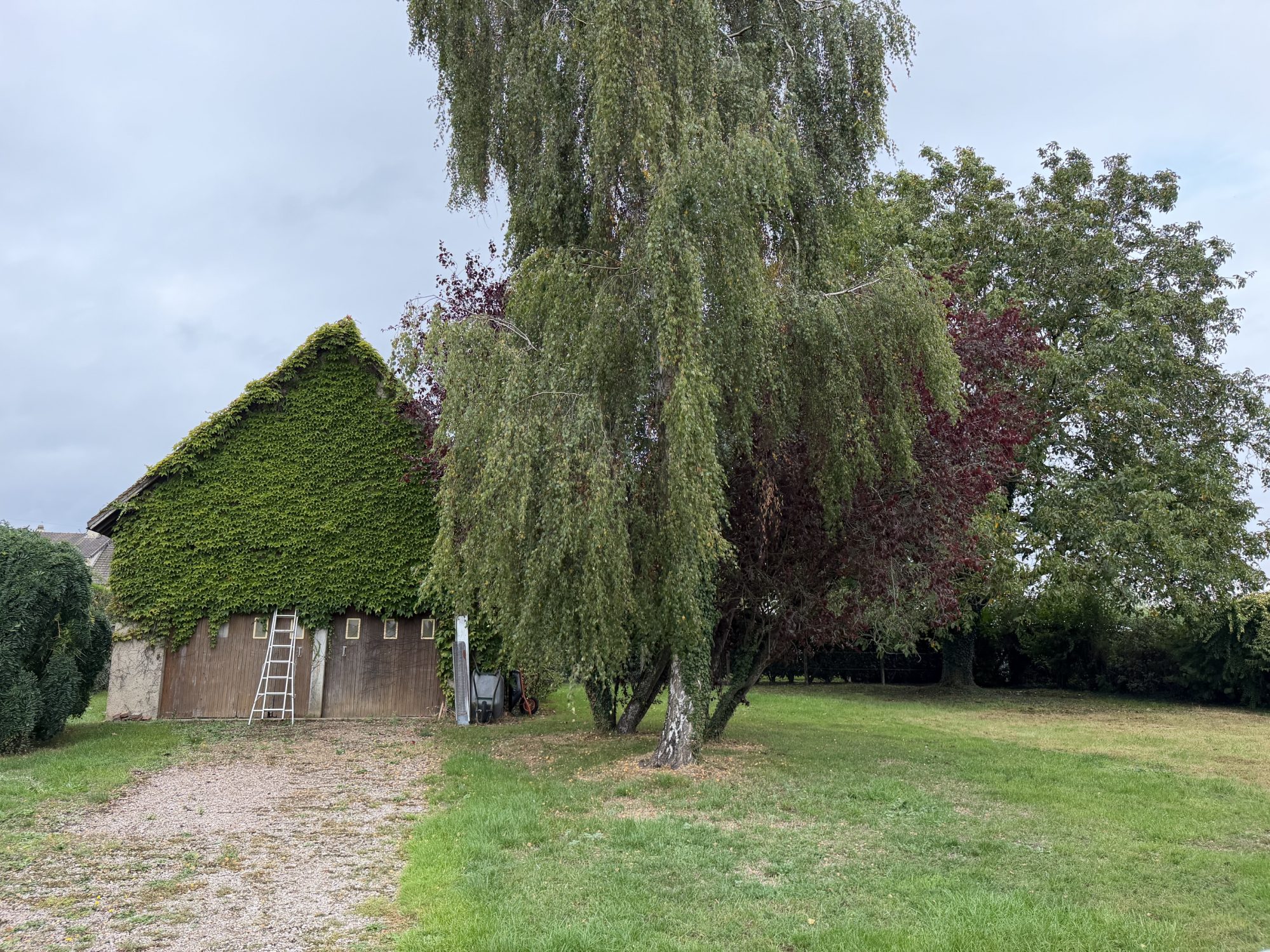 Photo 3 — CF IMMOBILIER
