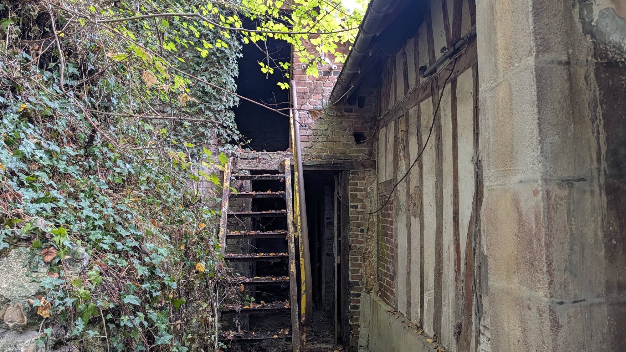 Photo 16 — CF IMMOBILIER