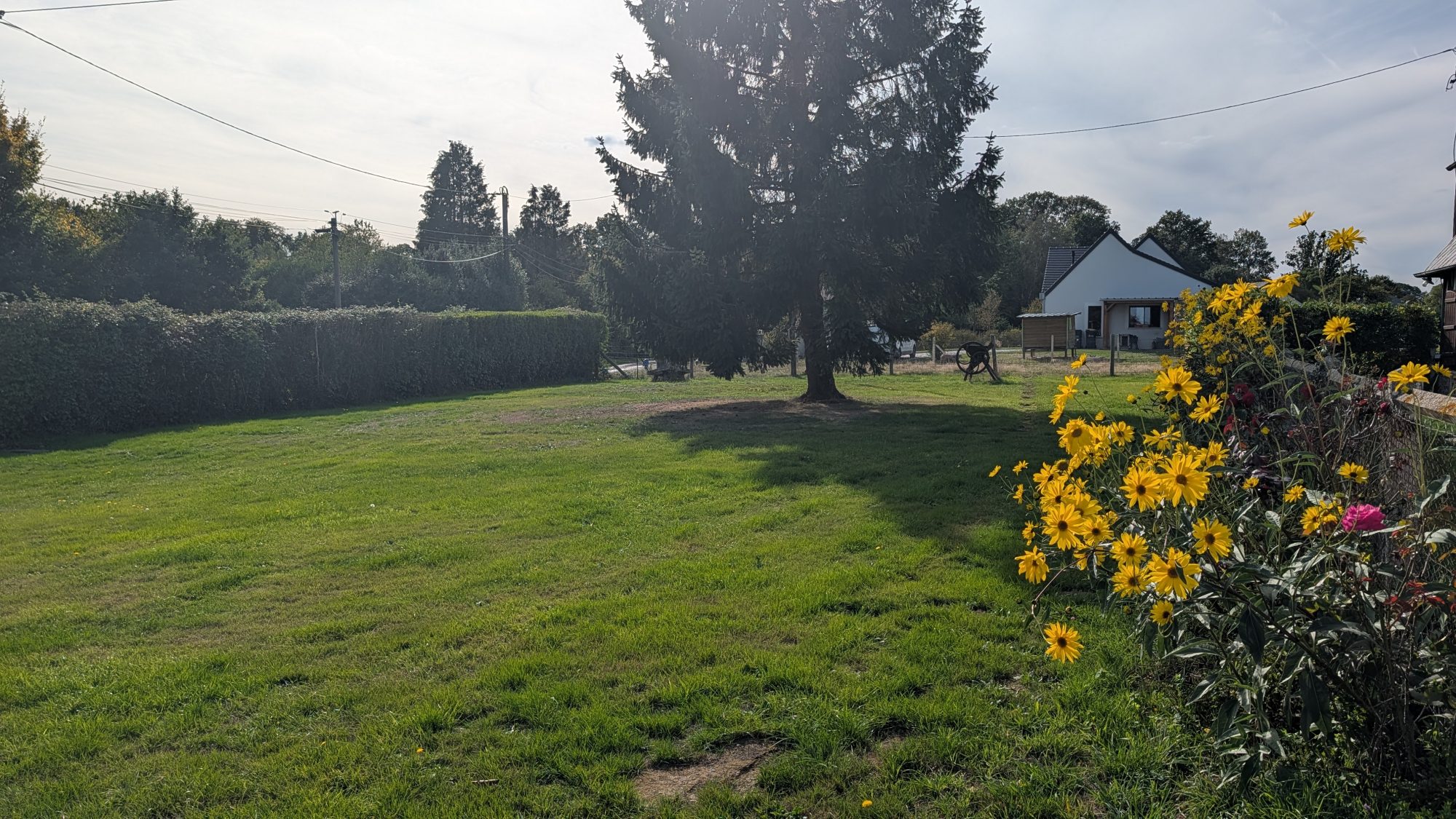 Photo 15 — CF IMMOBILIER