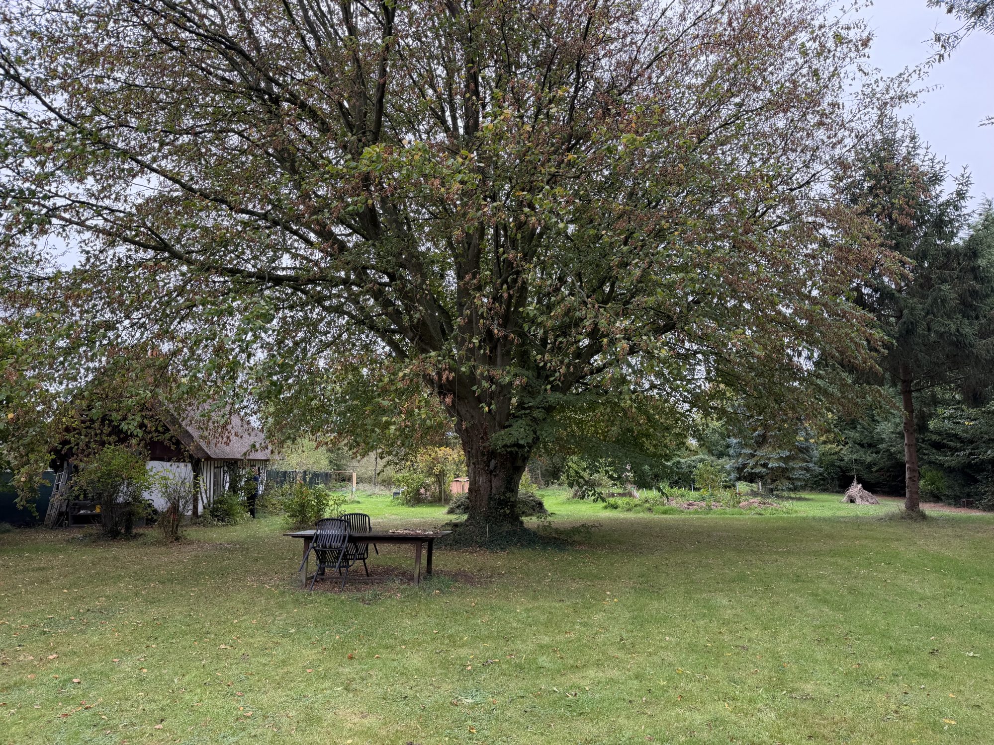 Photo 3 — CF IMMOBILIER