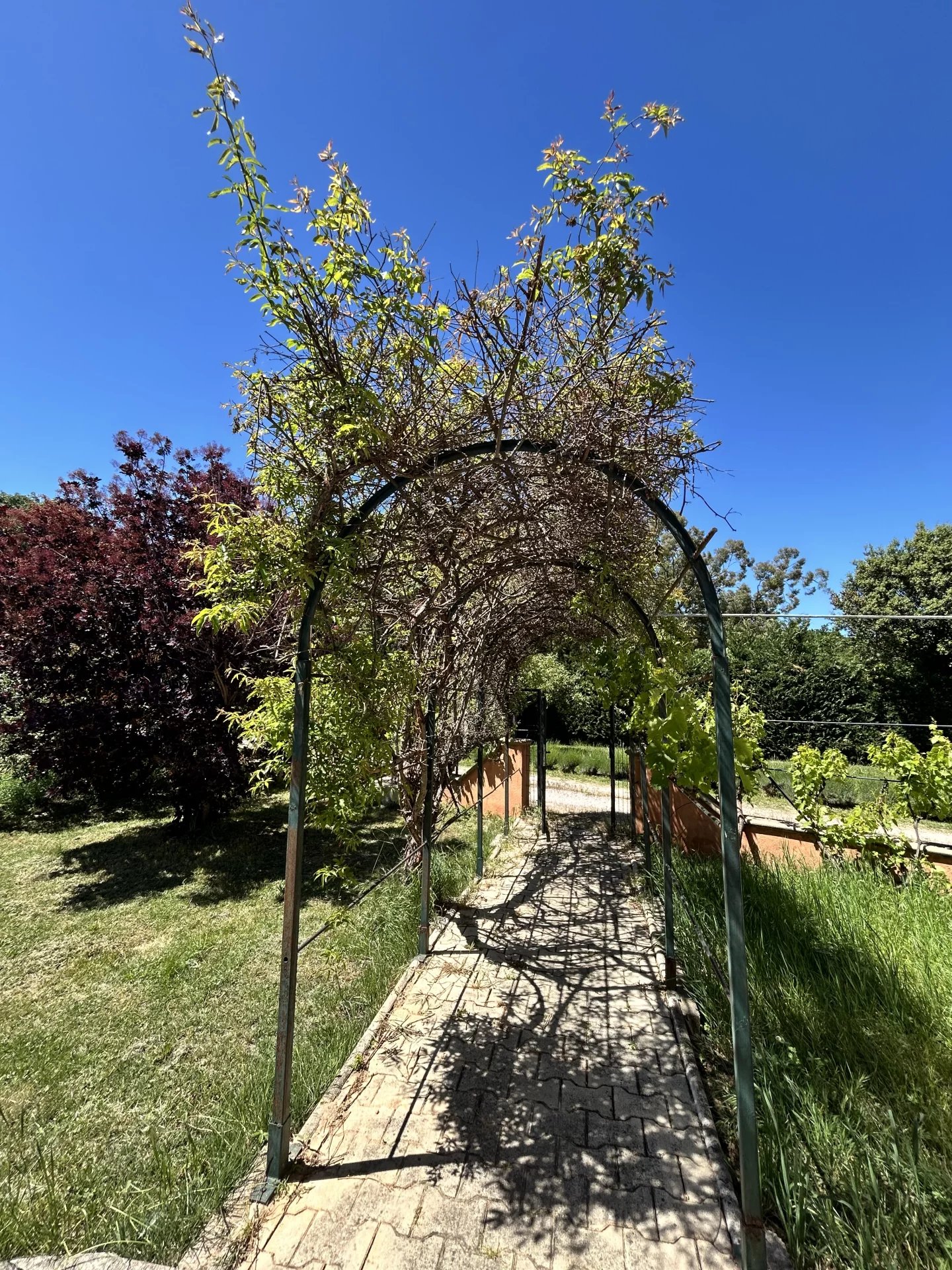 Photo 15 — Un Toit en Provence