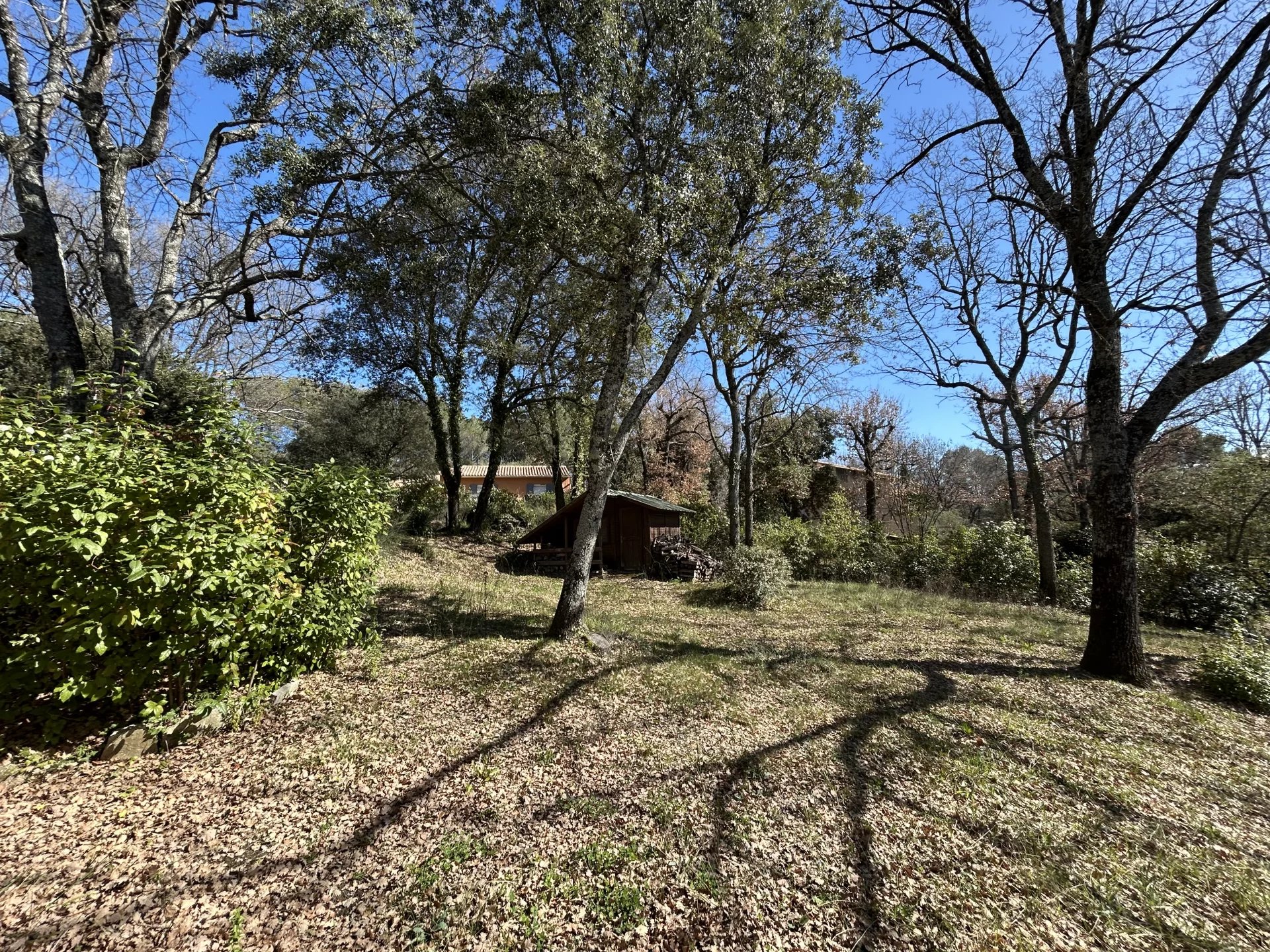 Photo 8 — Un Toit en Provence