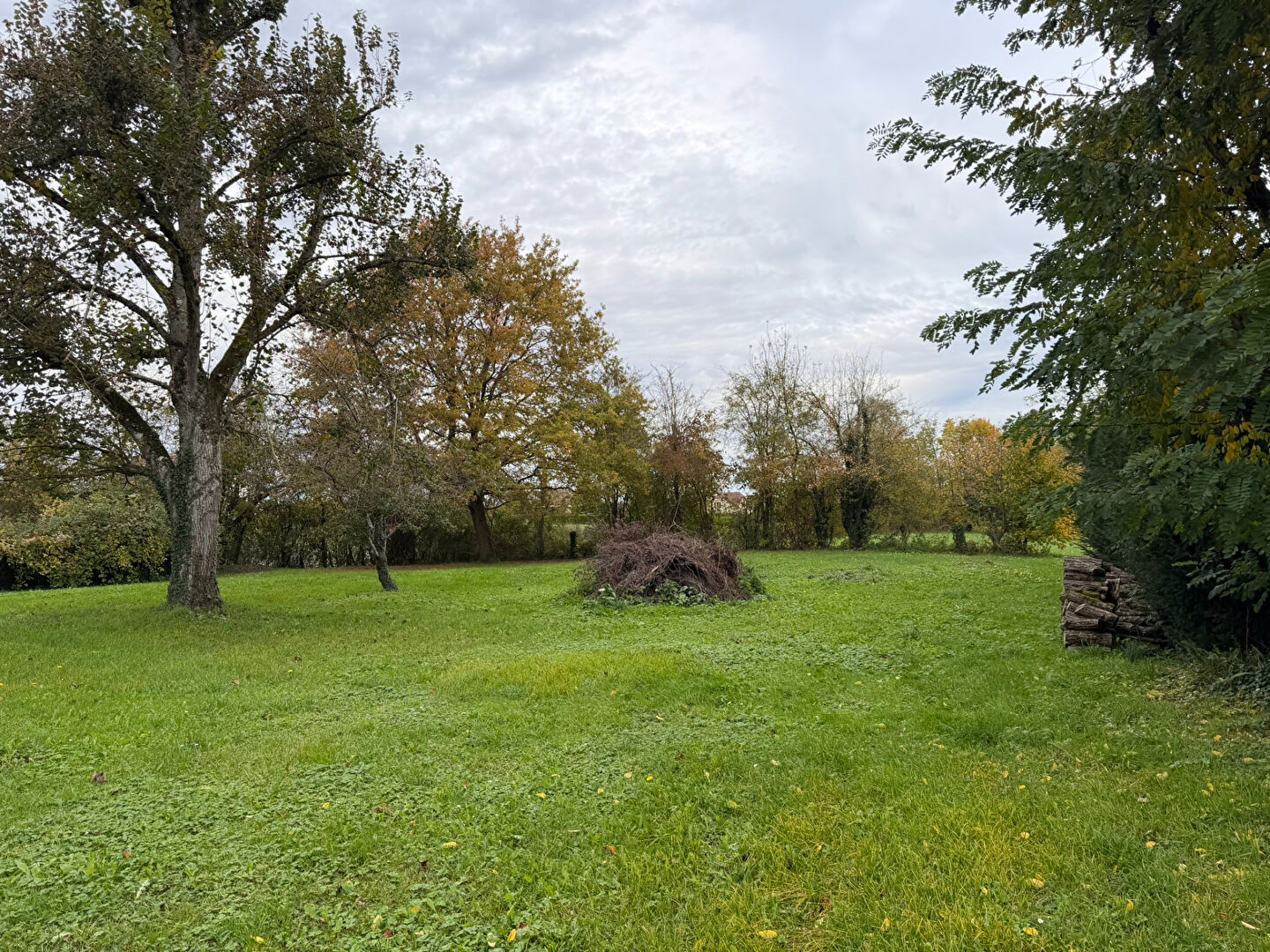 Photo 3 — AGENCE CENTRALE