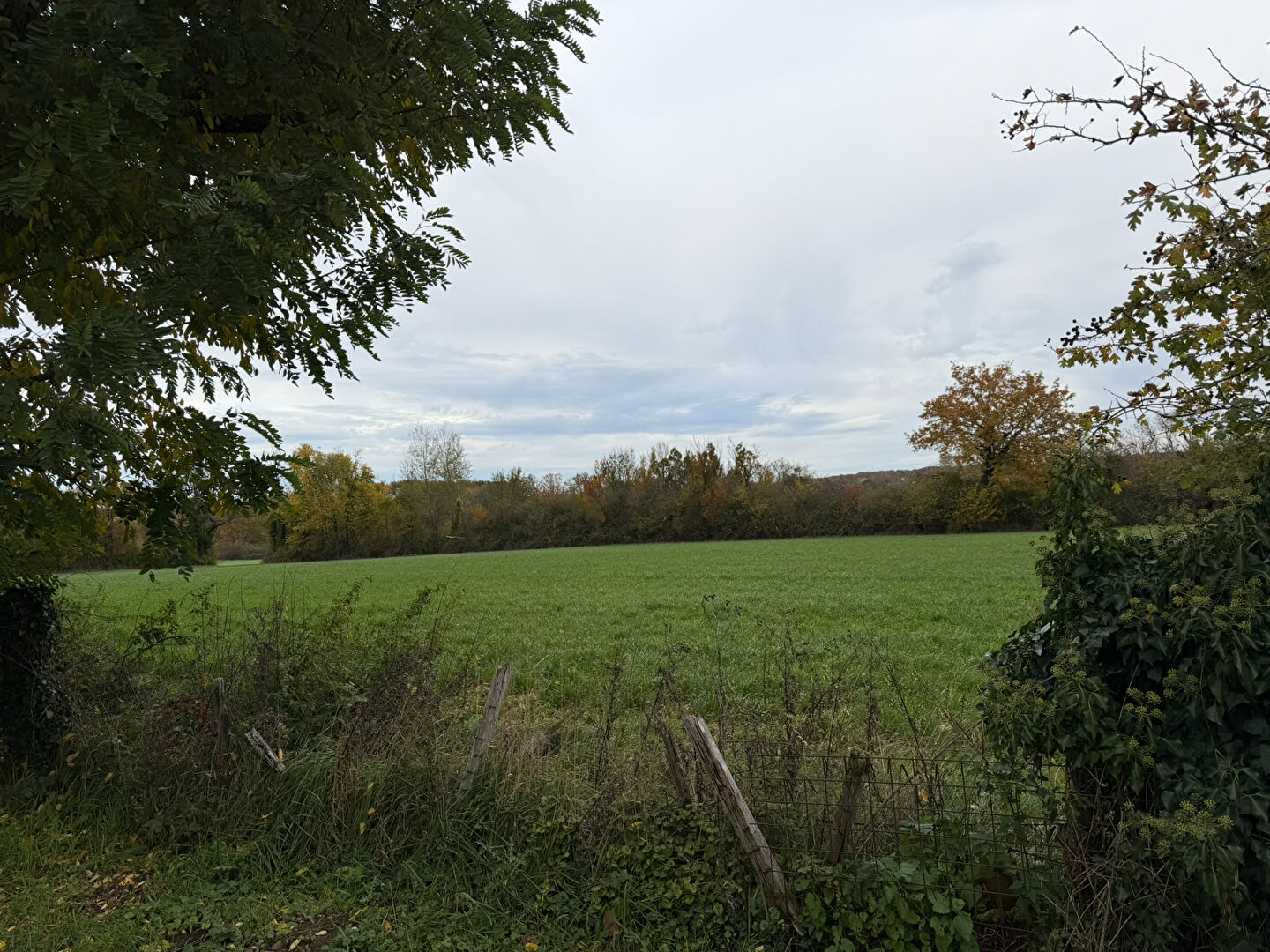 Photo 4 — AGENCE CENTRALE