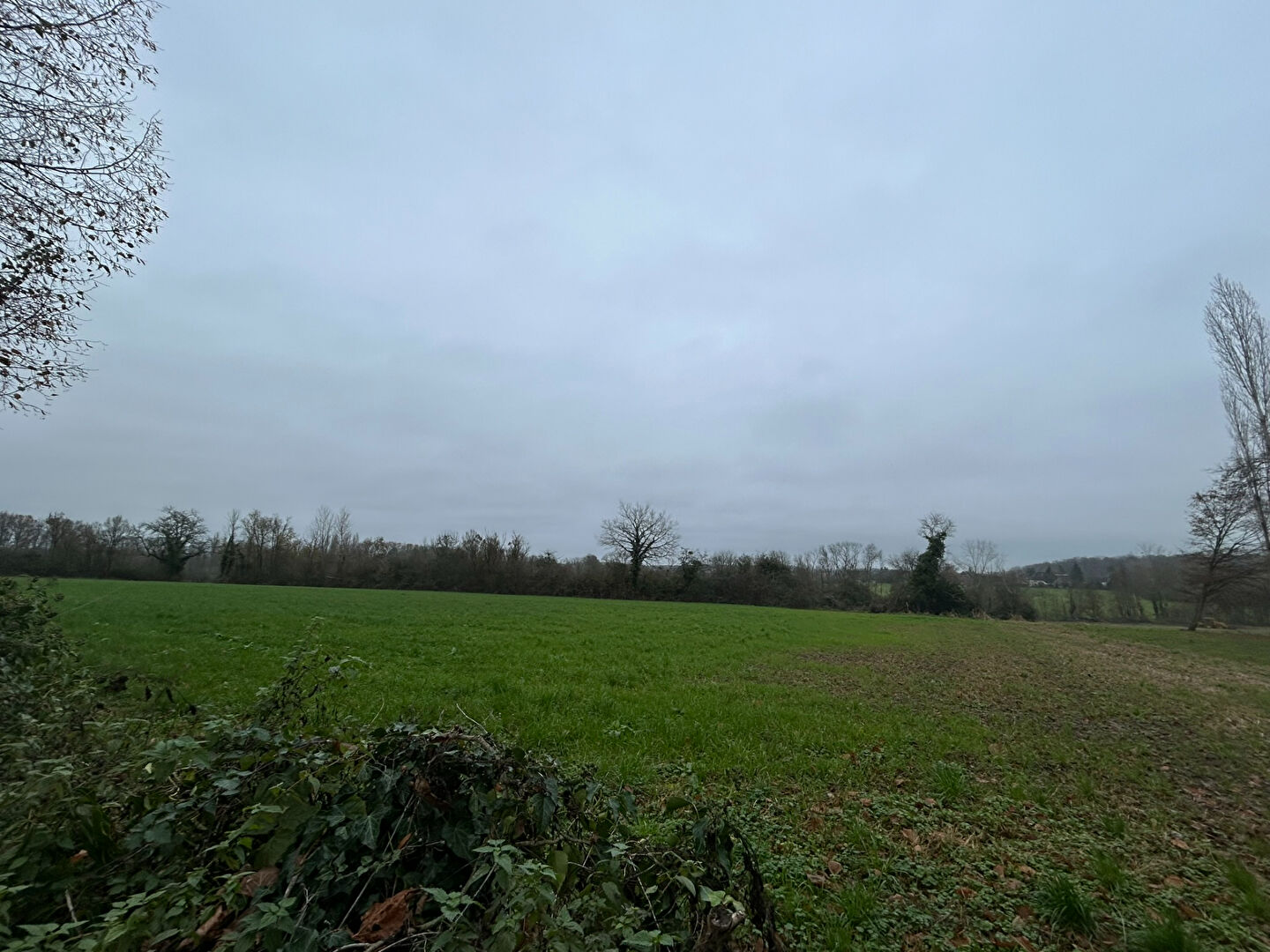 Photo 28 — AGENCE CENTRALE