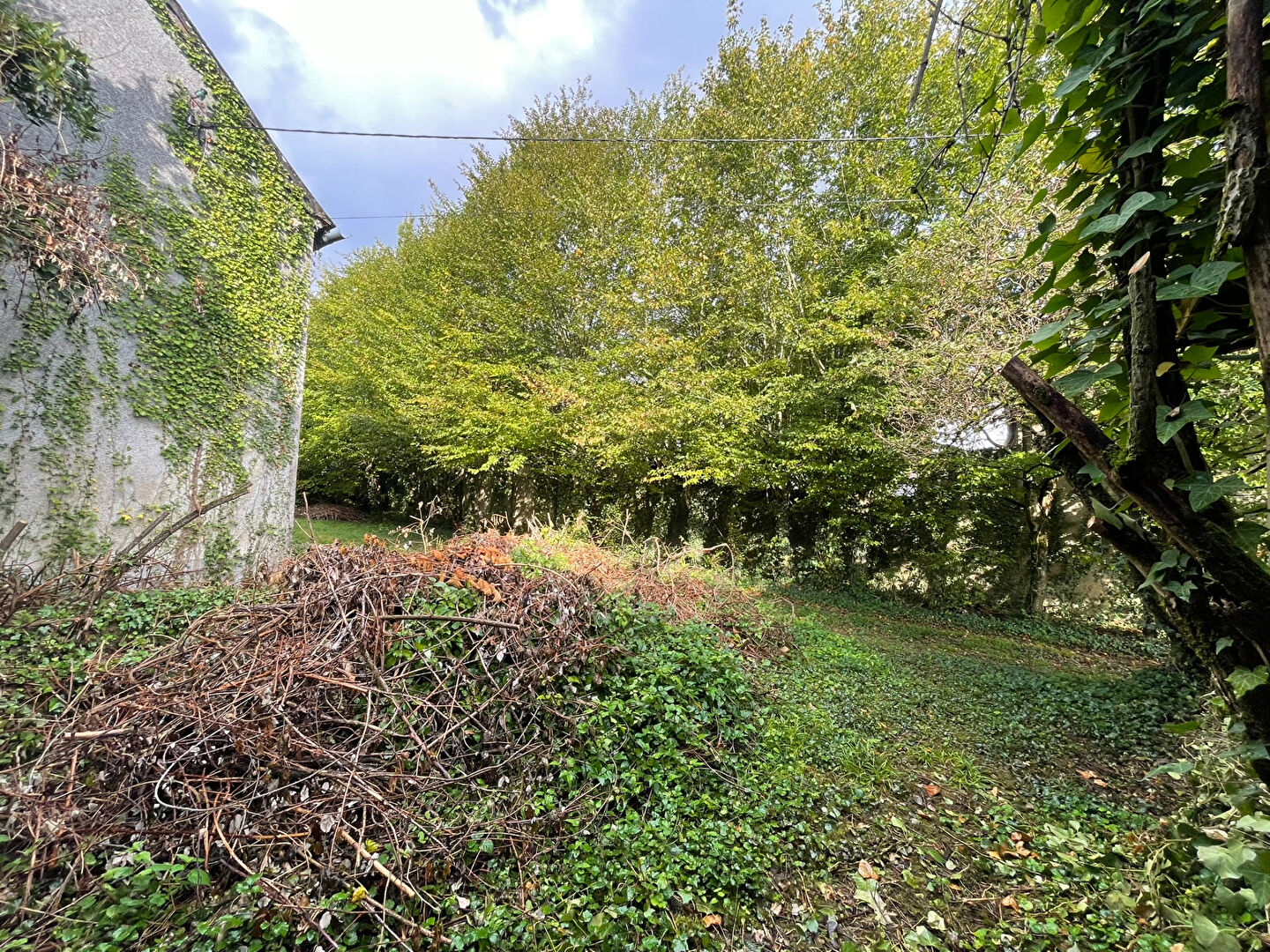 Photo 16 — AGENCE CENTRALE