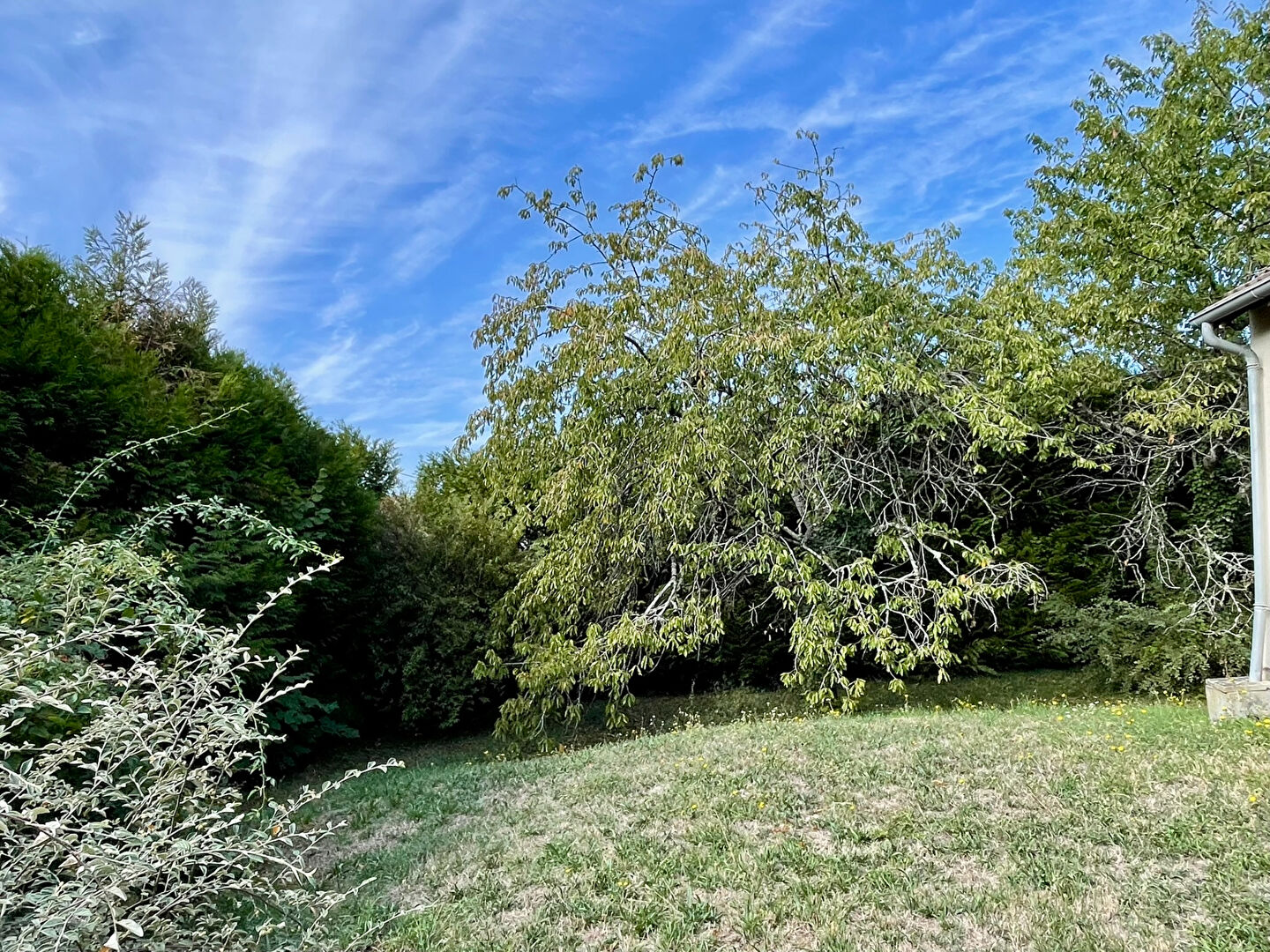 Photo 3 — AGENCE CENTRALE