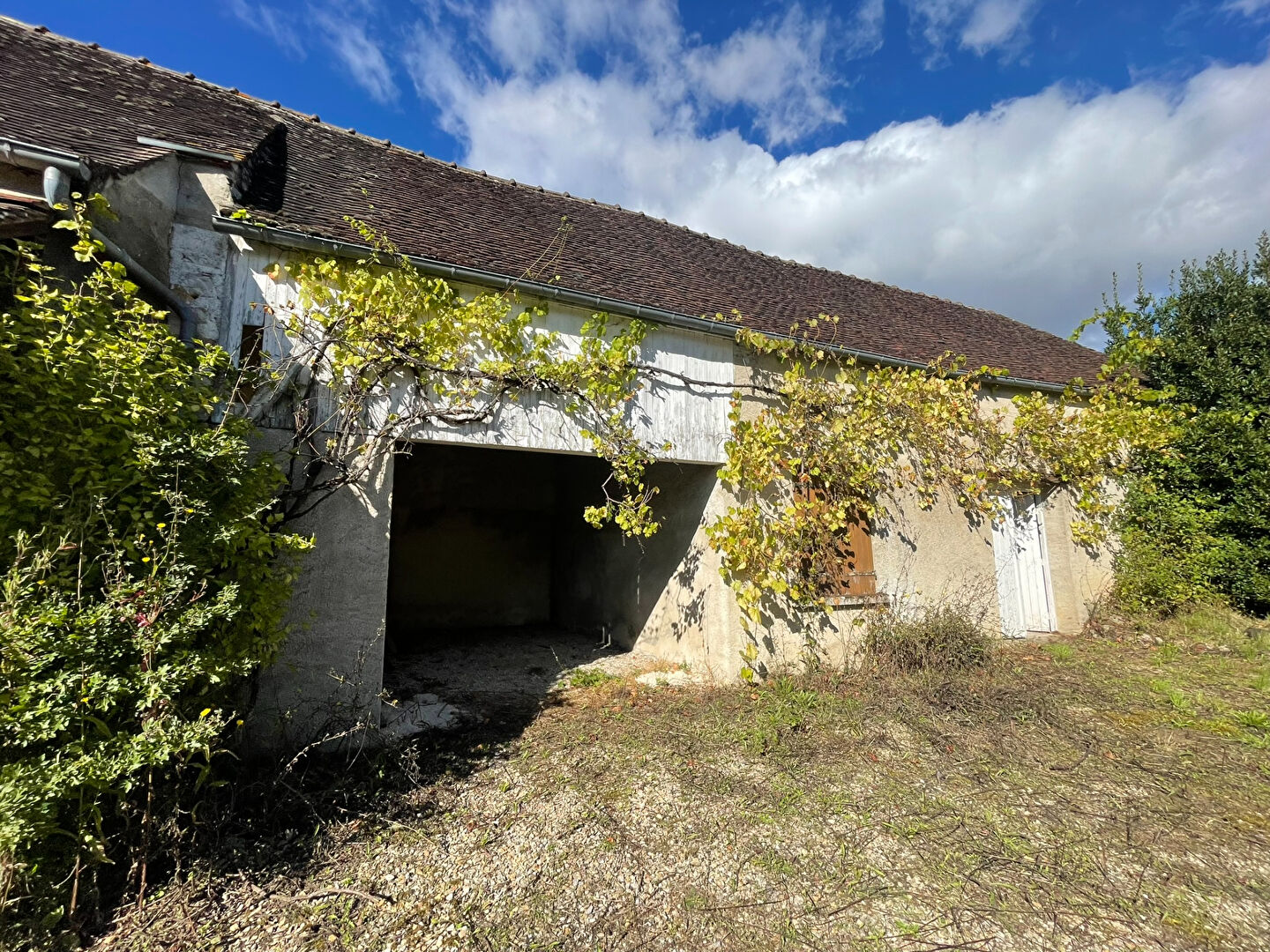 Photo 19 — AGENCE CENTRALE