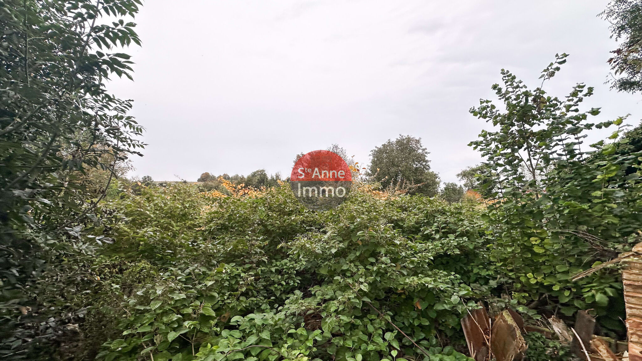 Photo 6 — SAINTE ANNE IMMO