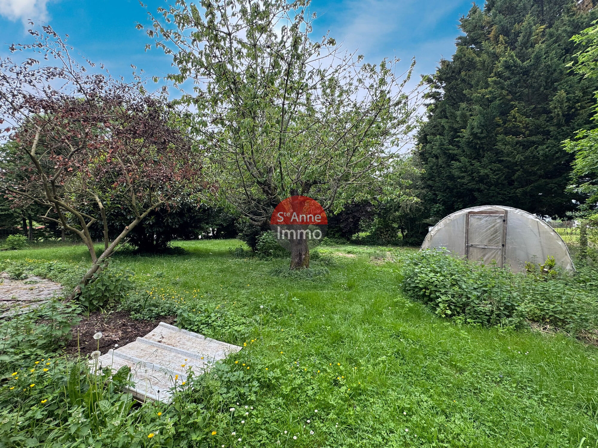 Photo 14 — SAINTE ANNE IMMO